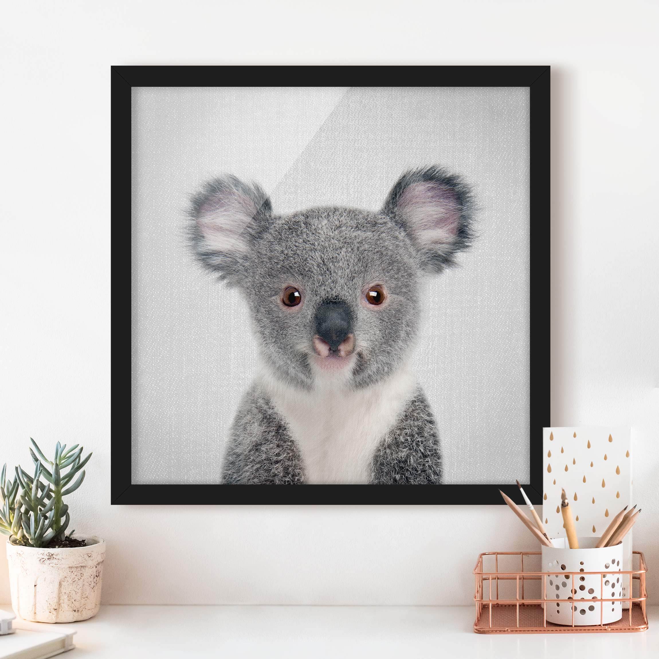 Bild mit Rahmen Baby Koala Klara