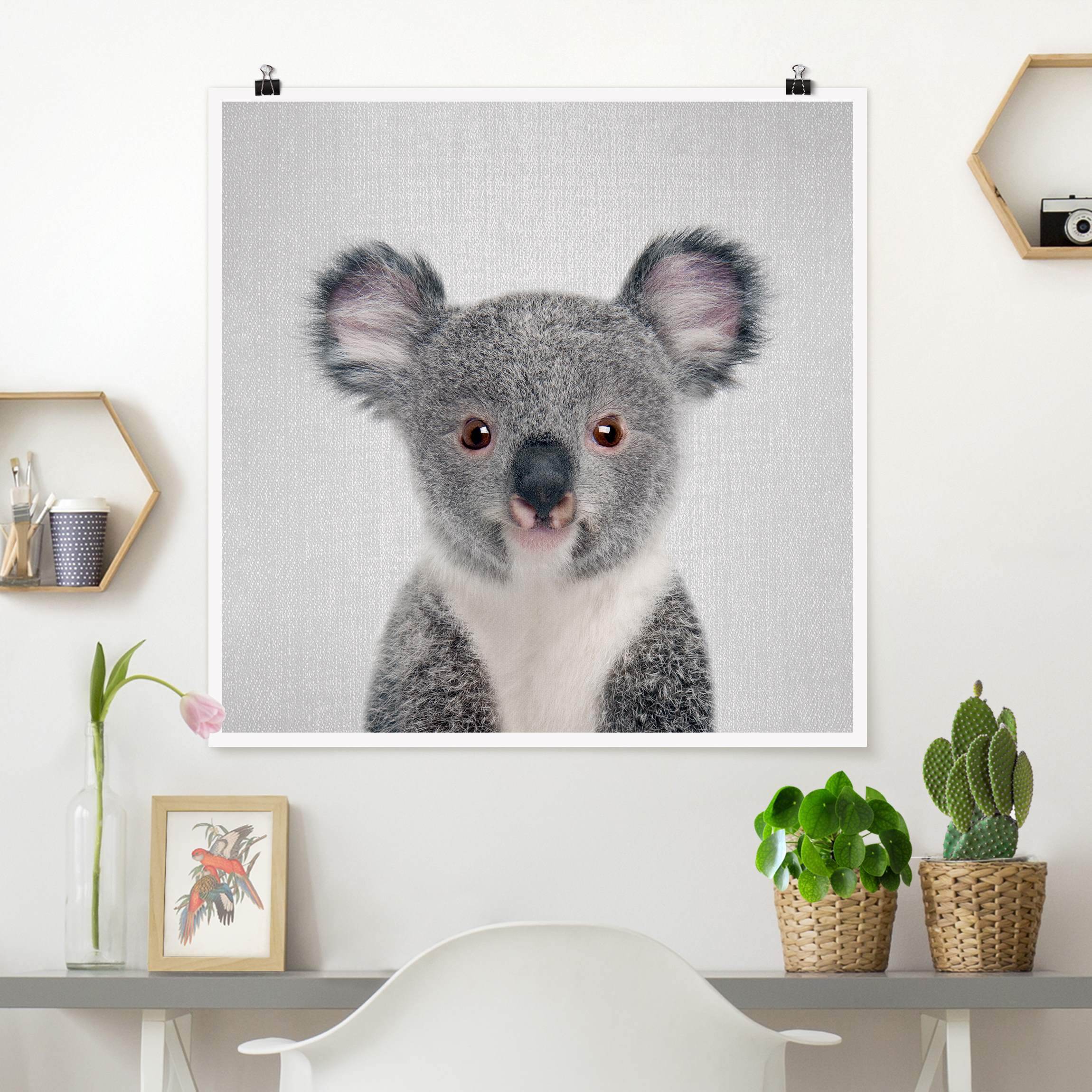 Poster Baby Koala Klara