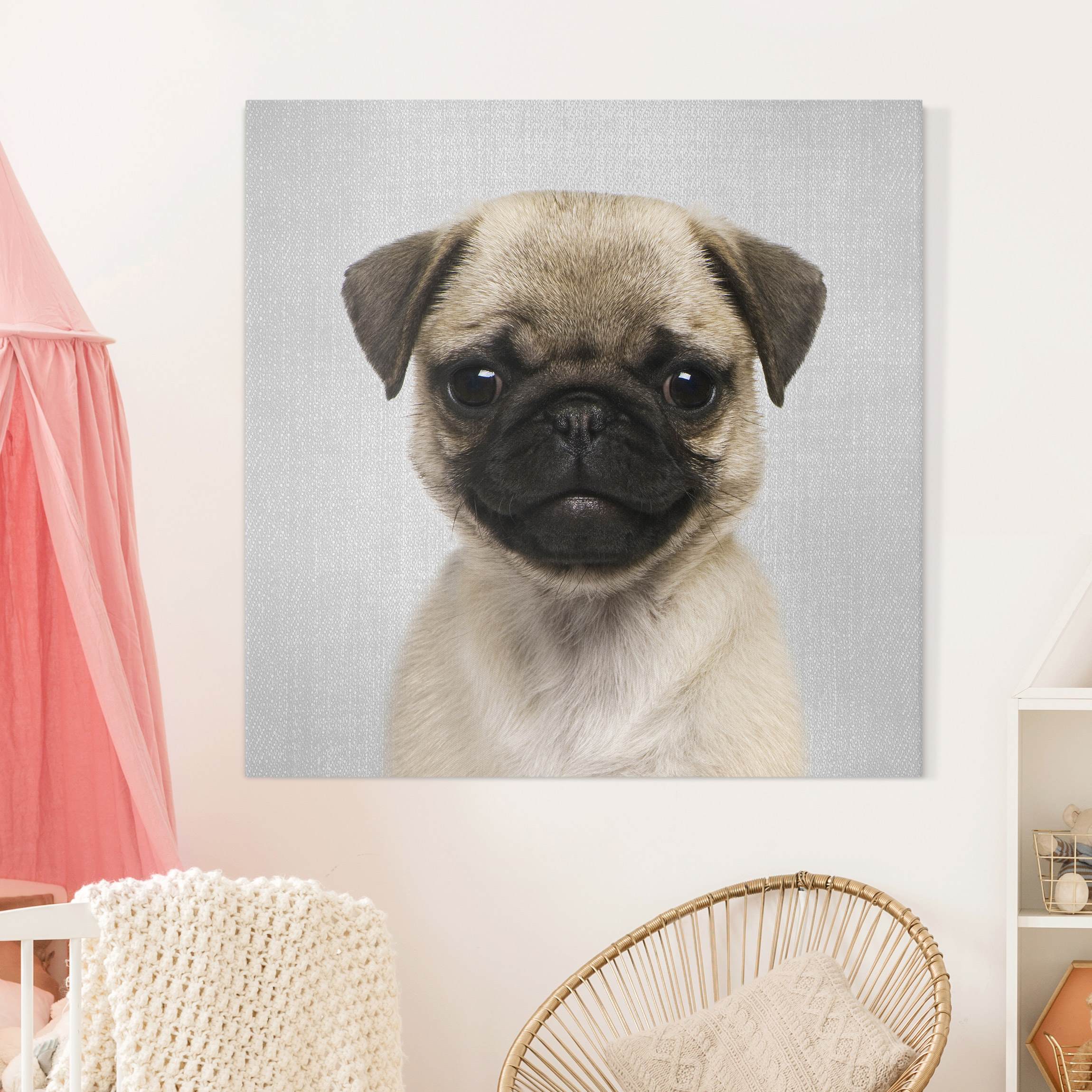 Leinwandbild Baby Mops Moritz