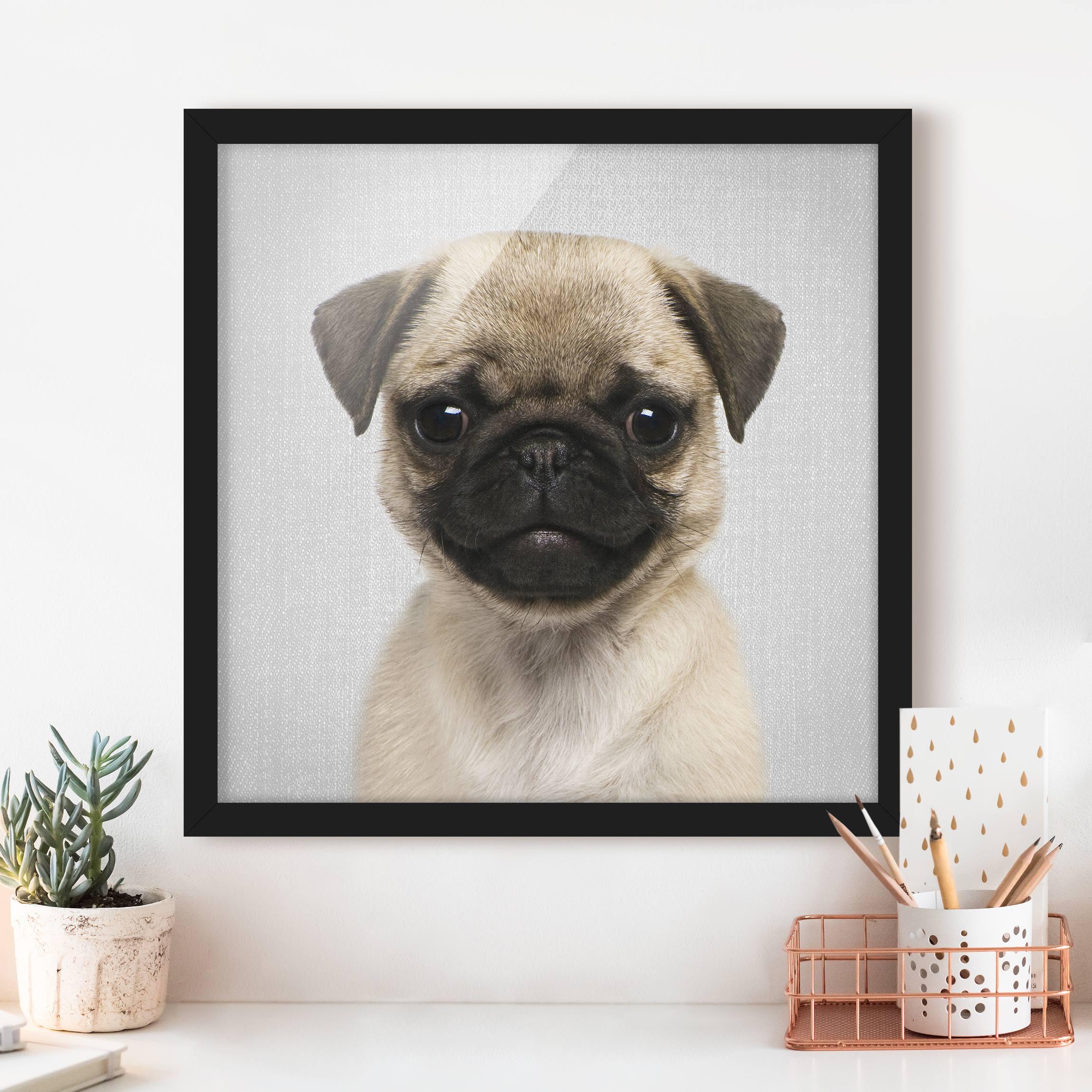Bild mit Rahmen Baby Mops Moritz
