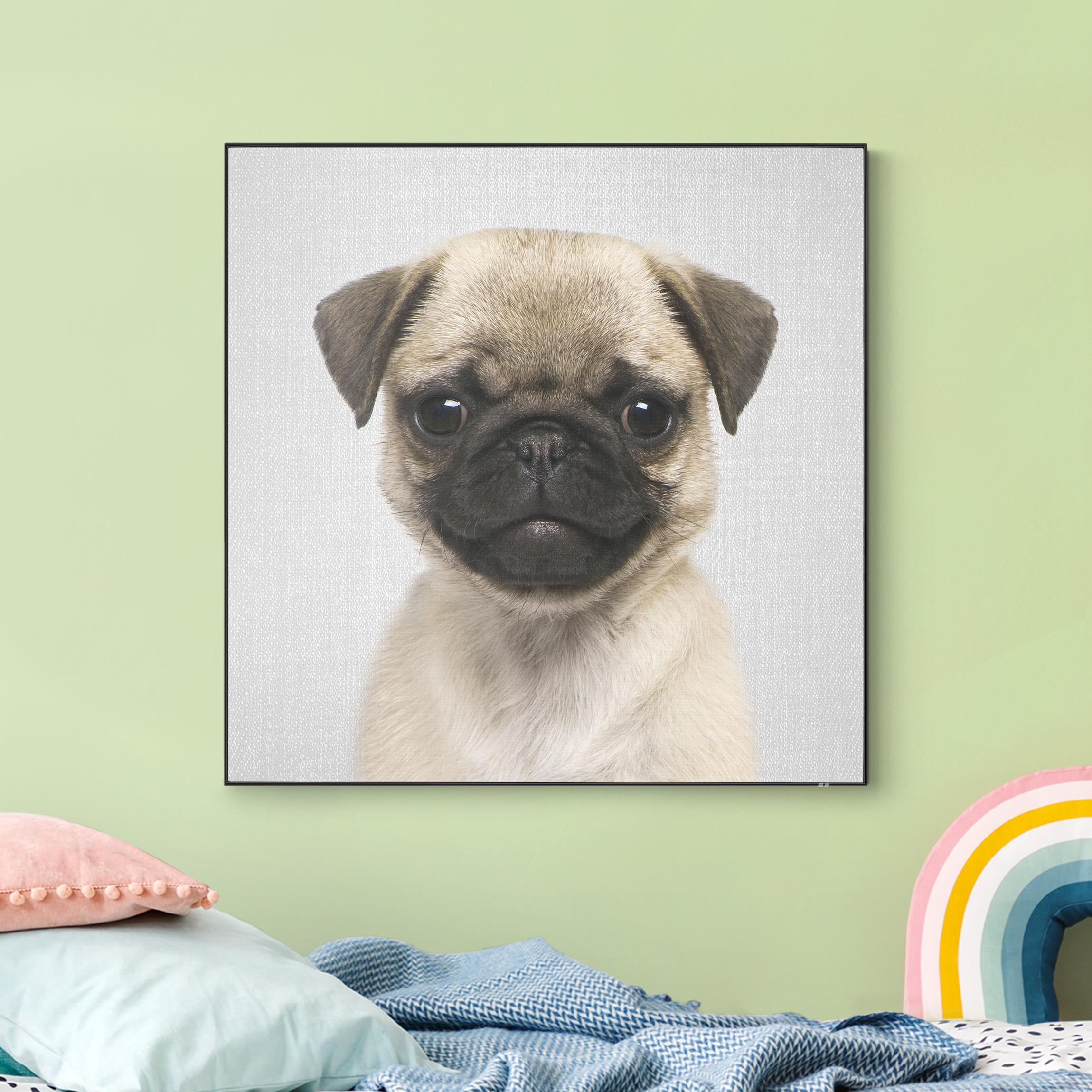 Wechselbild Baby Mops Moritz