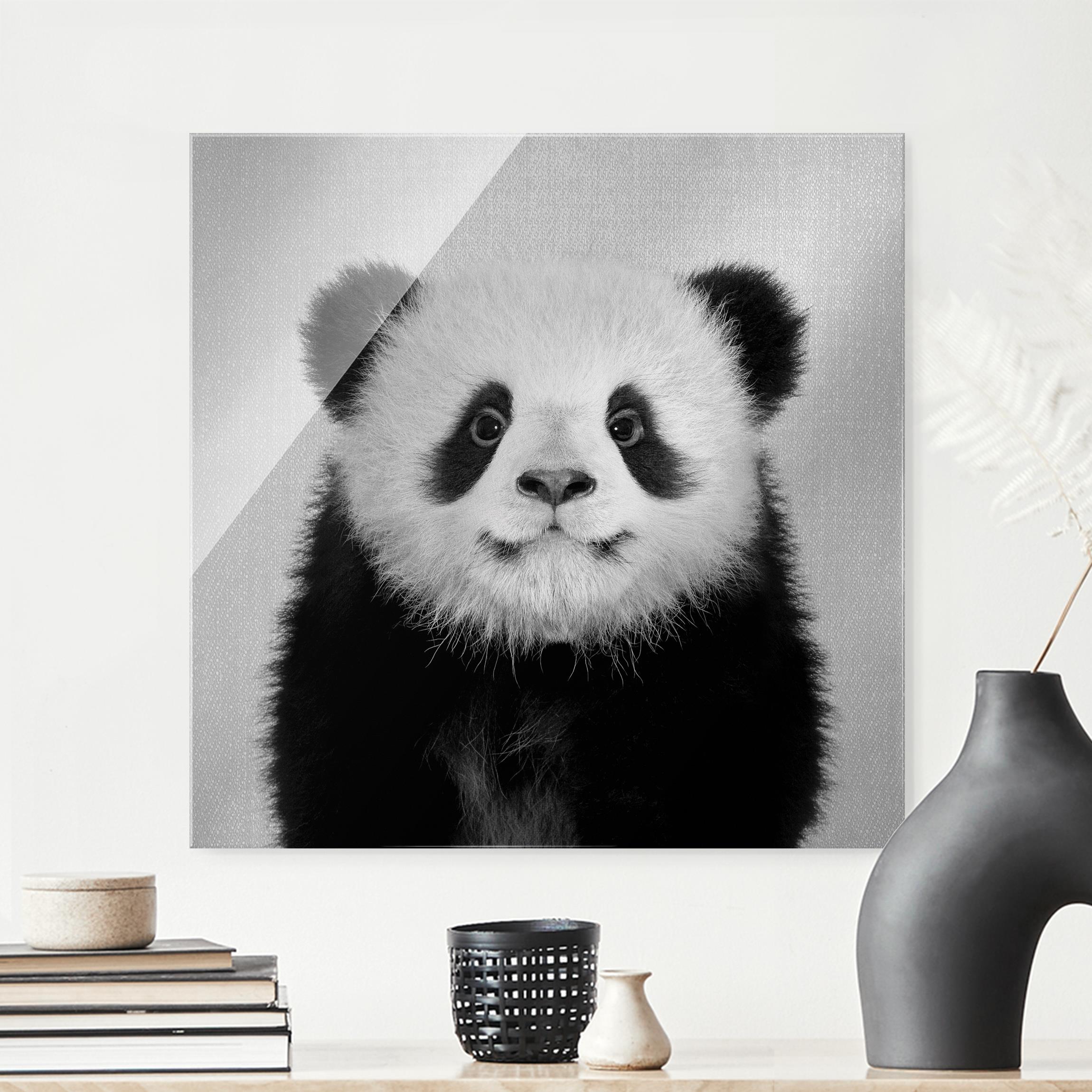 Glasbild Baby Panda Prian Schwarz Weiß