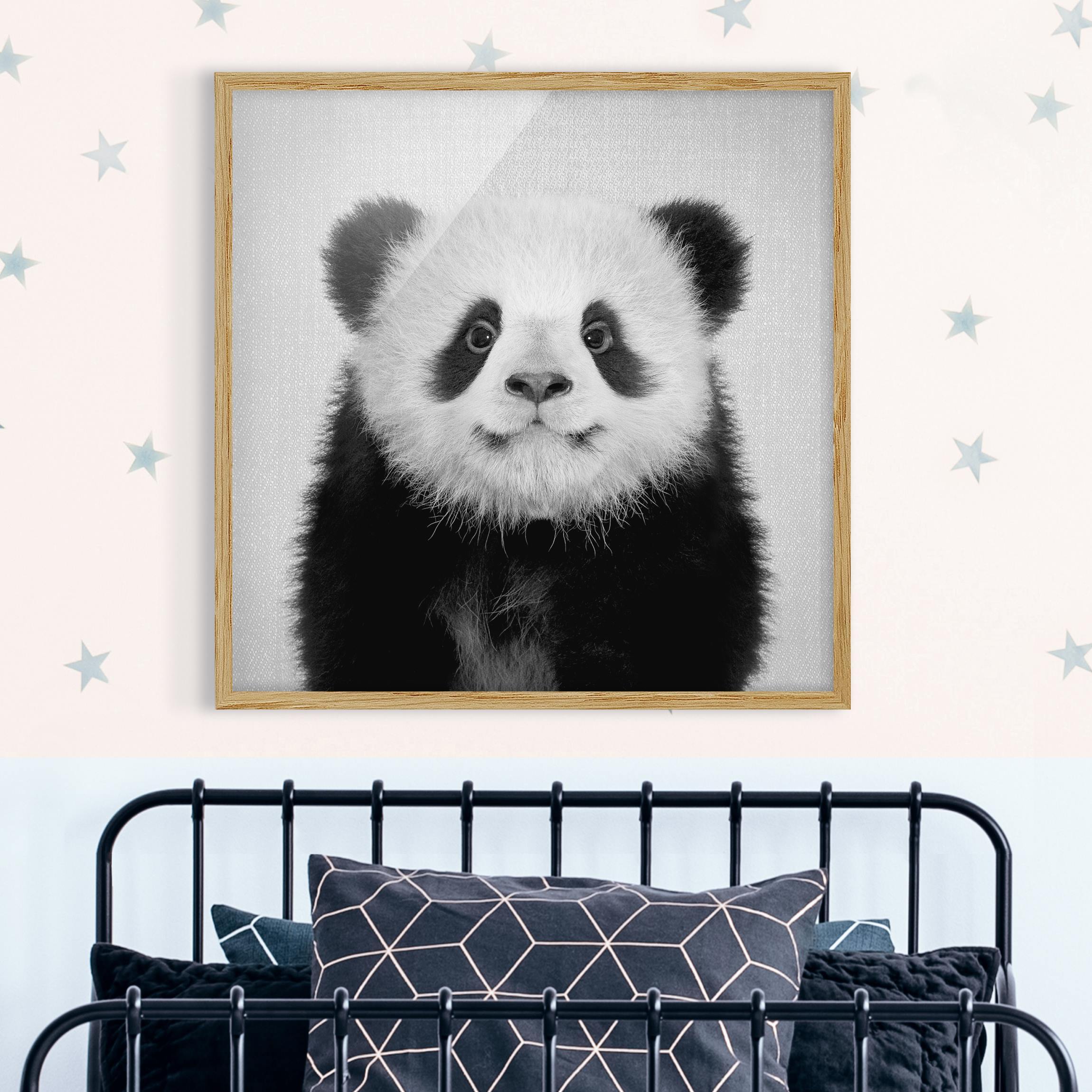 Bild mit Rahmen Baby Panda Prian Schwarz Weiß