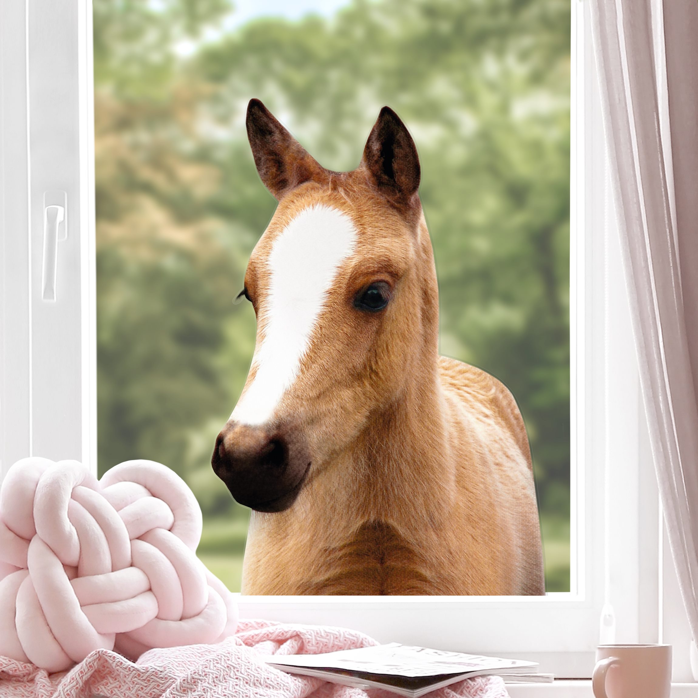 Fensteraufkleber Baby Pferd Philipp