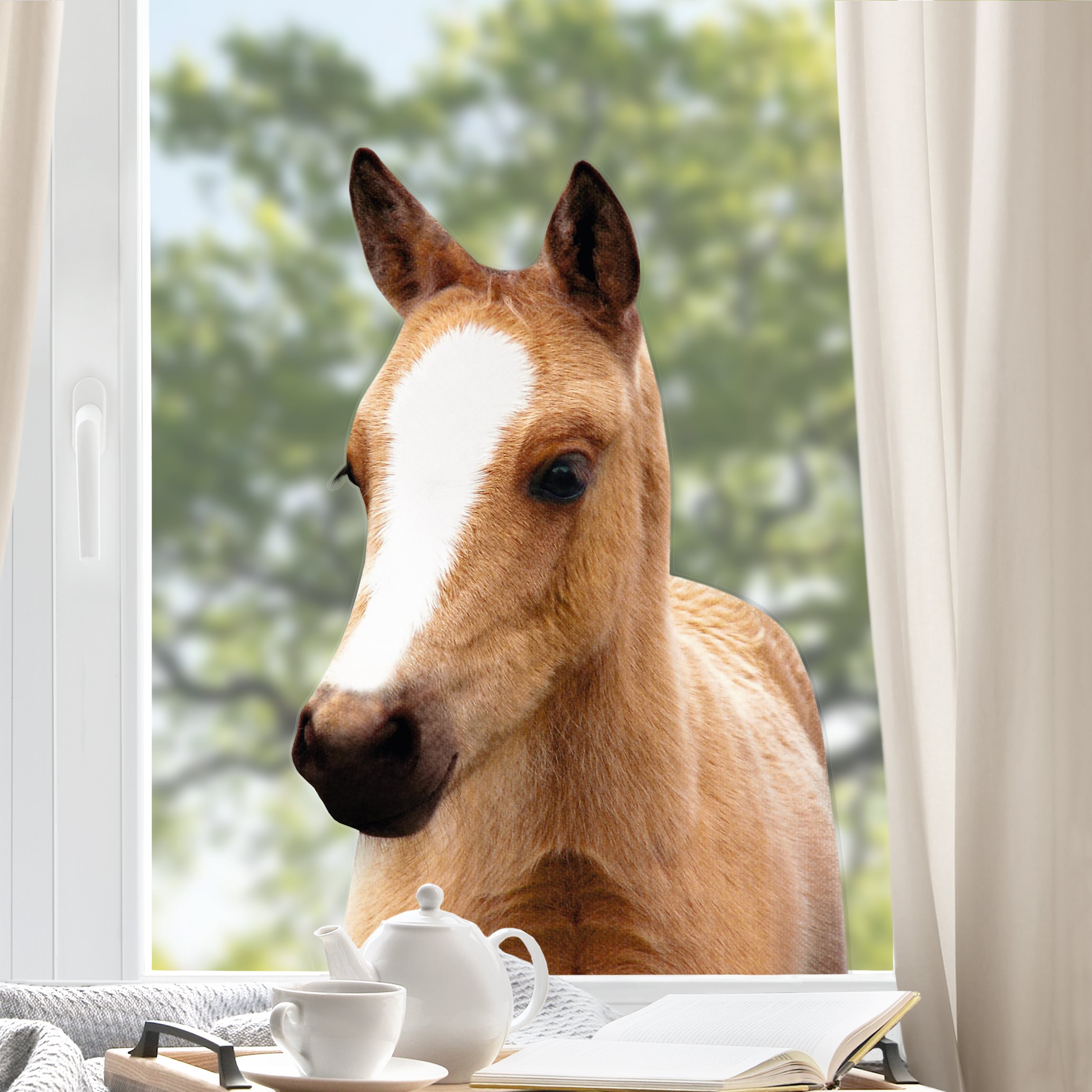 Fensteraufkleber Baby Pferd Philipp