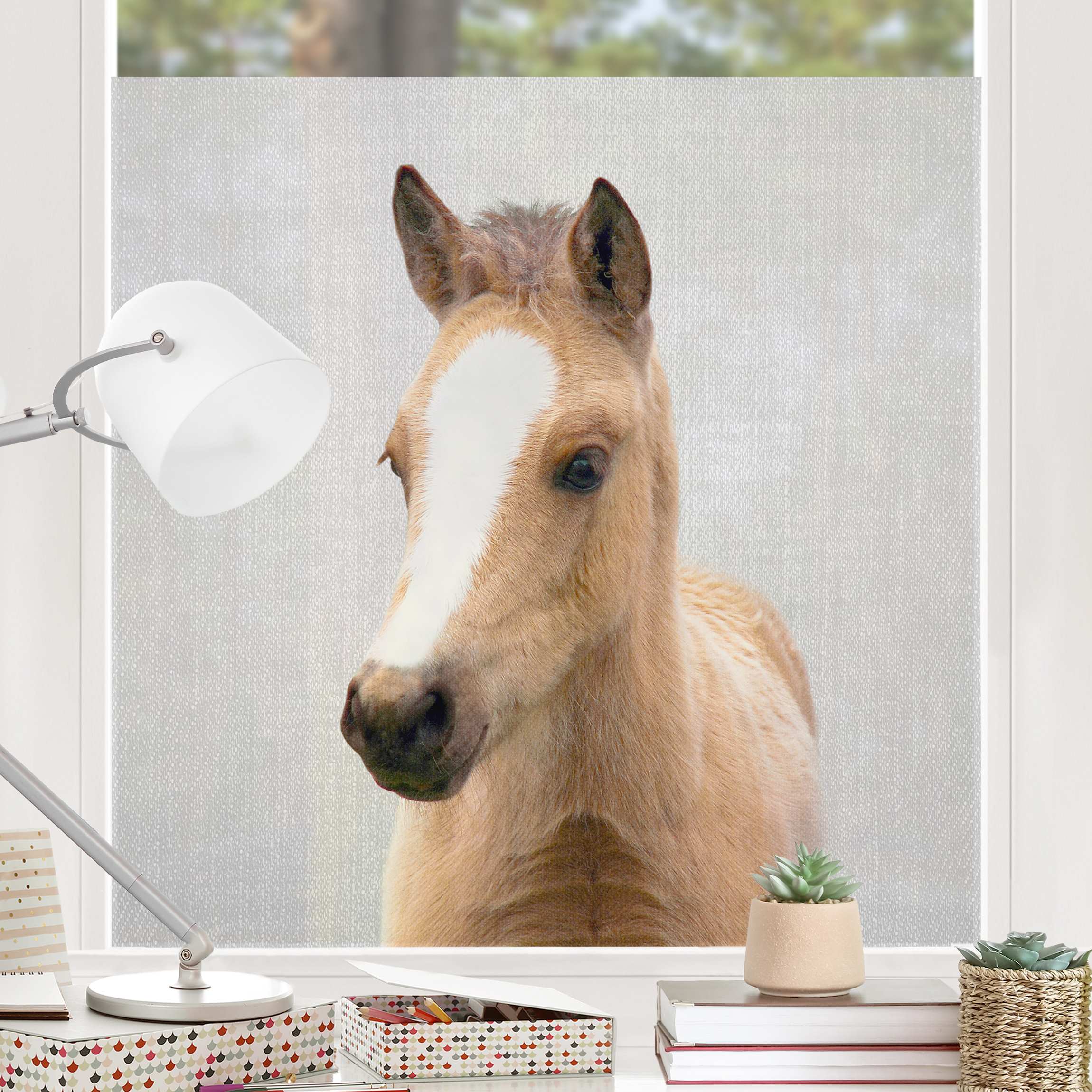 Fensterfolie Baby Pferd Philipp