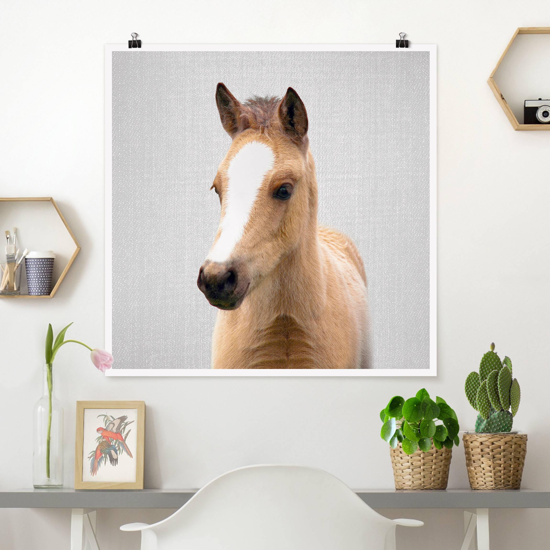 Poster Baby Pferd Philipp
