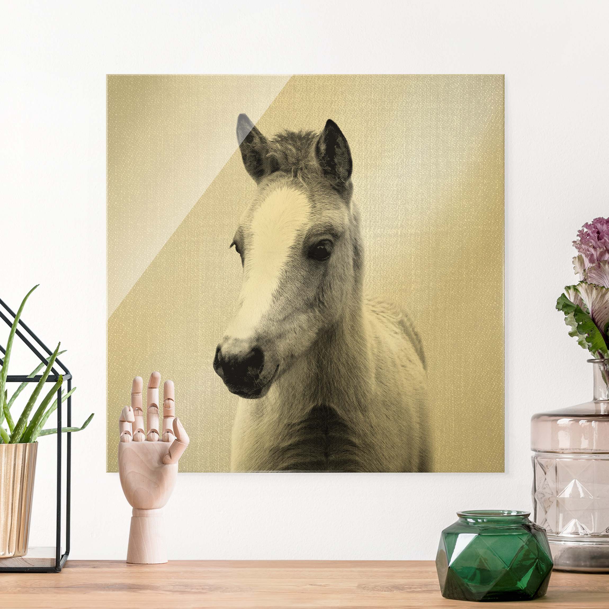 Glasbild Baby Pferd Philipp Schwarz Weiß