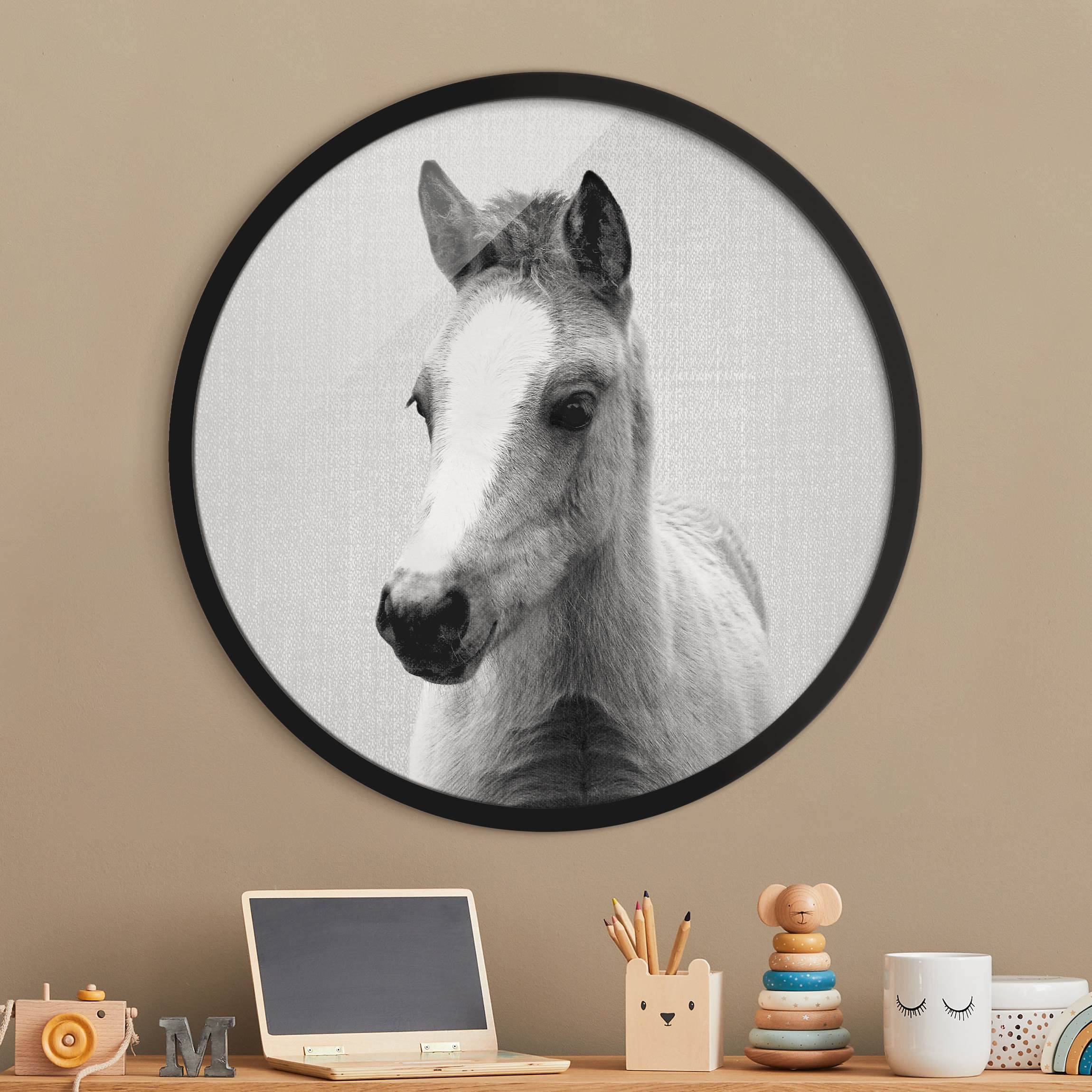 Rundes Gerahmtes Bild Baby Pferd Philipp Schwarz Weiß