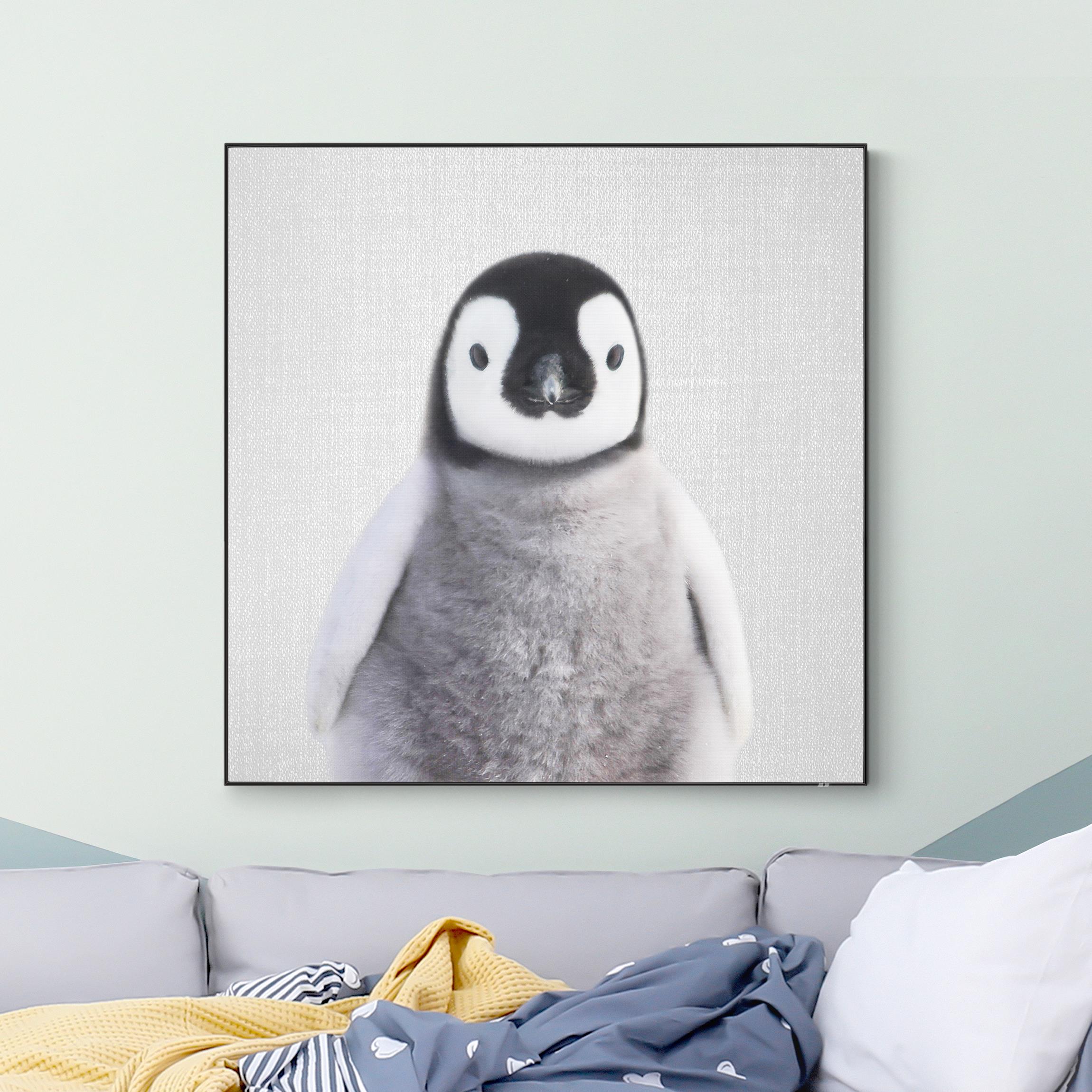 Wechselbild Baby Pinguin Pepe