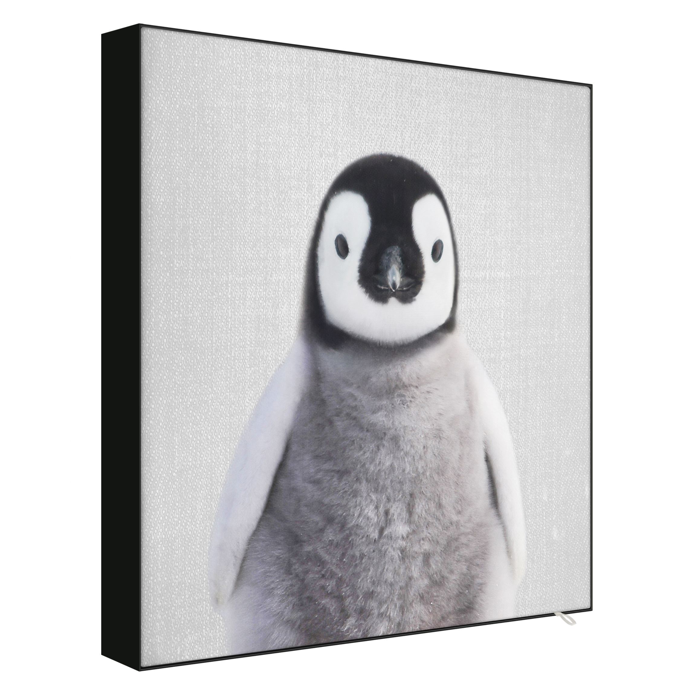 Wechselbild Baby Pinguin Pepe