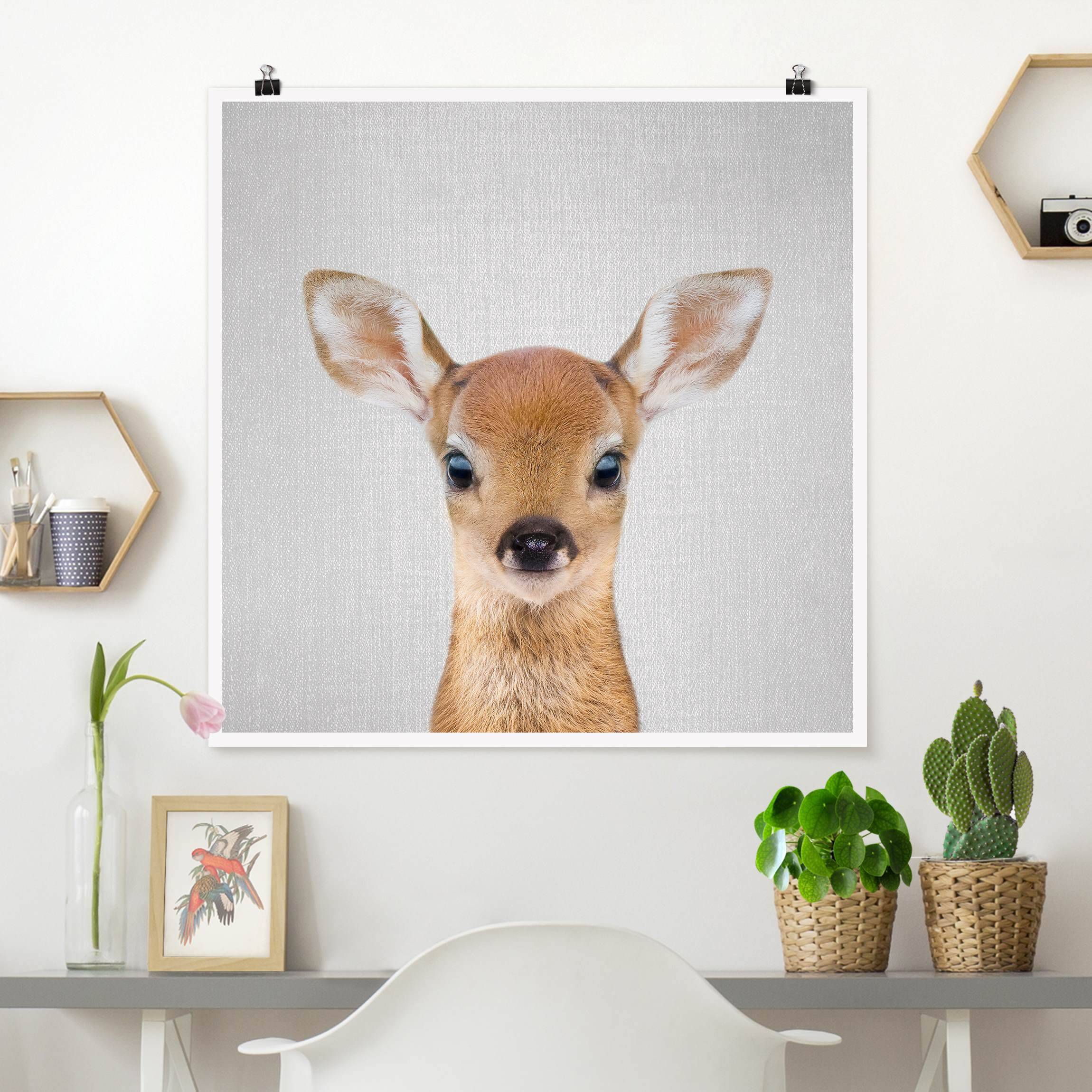 Poster Baby Reh Romy