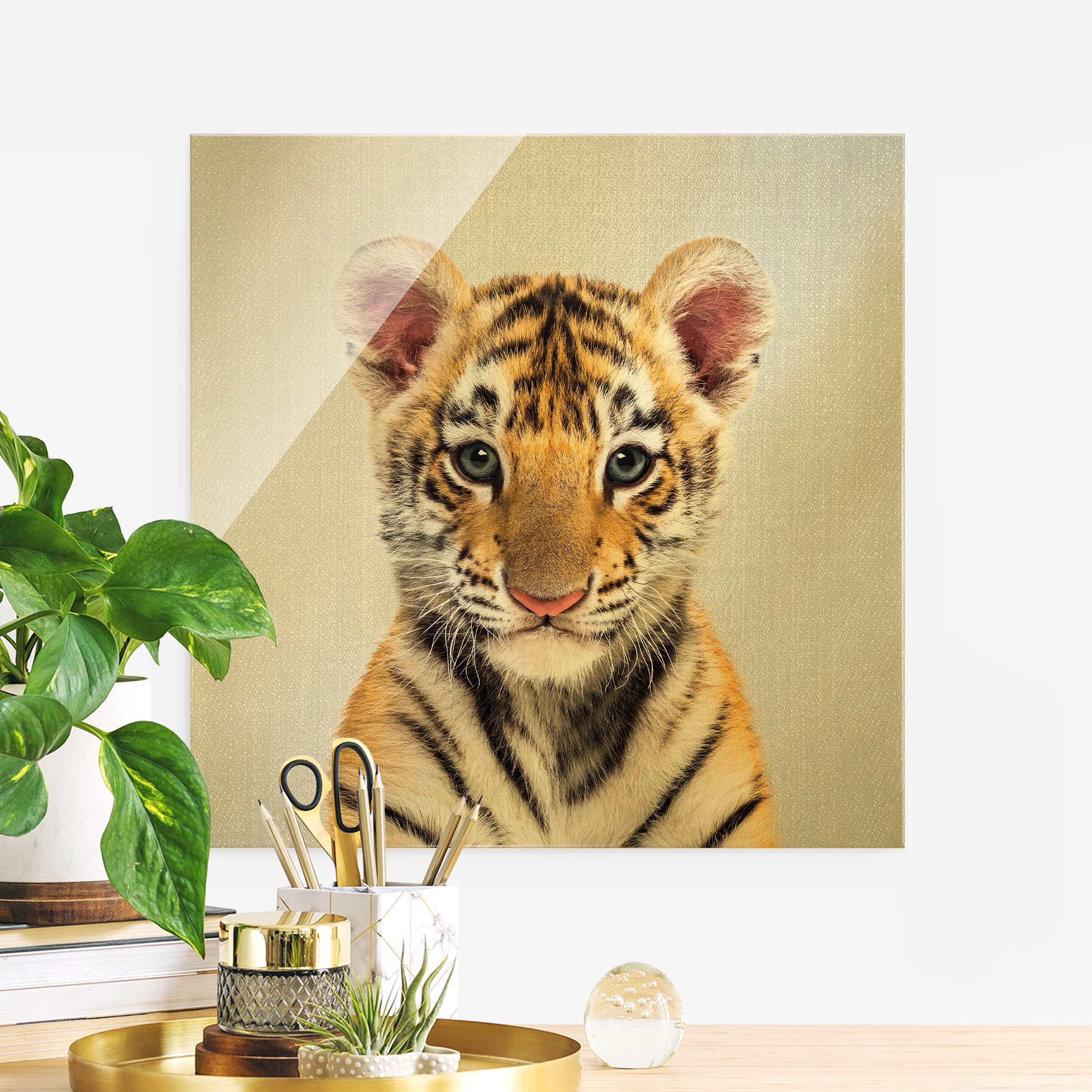 Glasbild Baby Tiger Thor