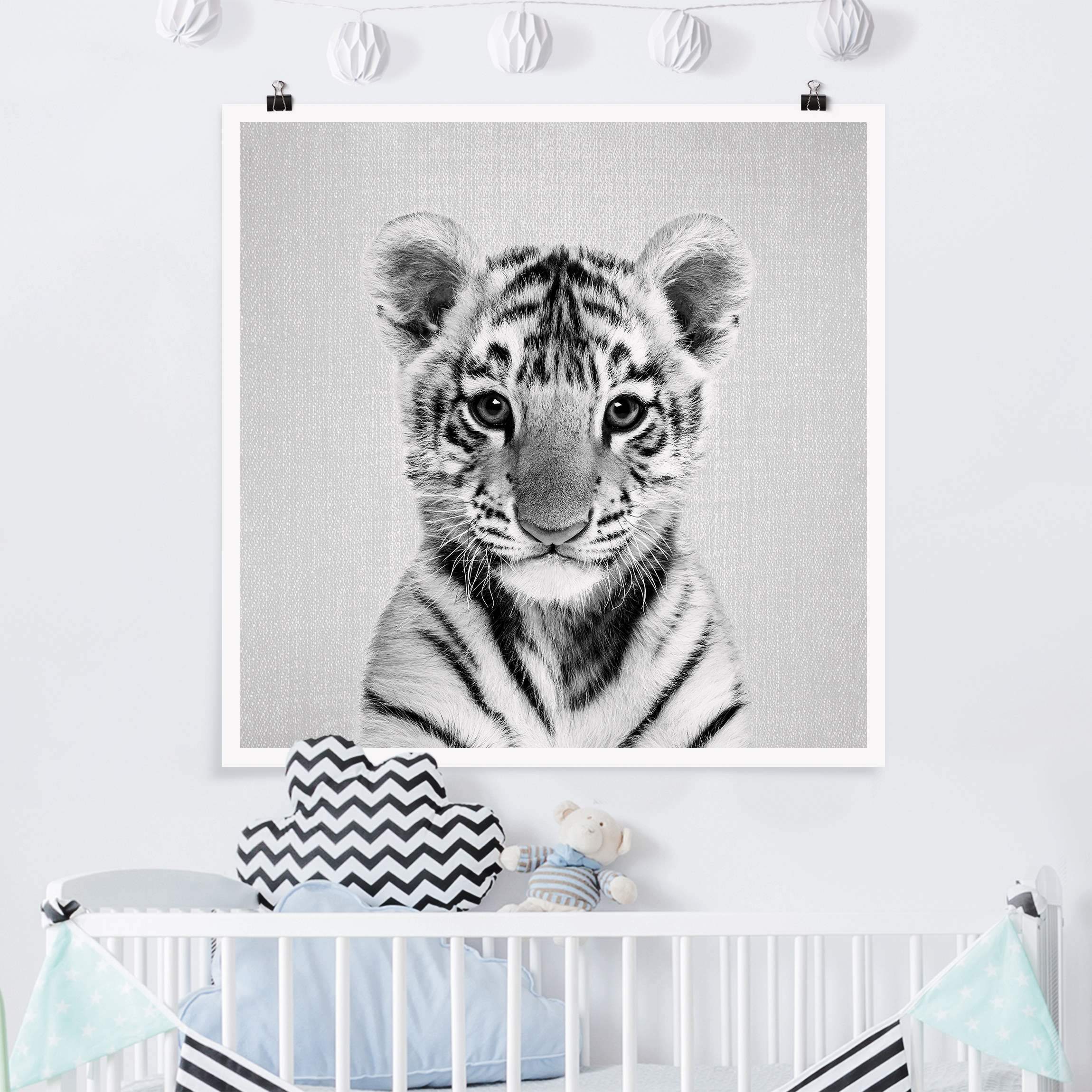Poster Baby Tiger Thor Schwarz Weiß