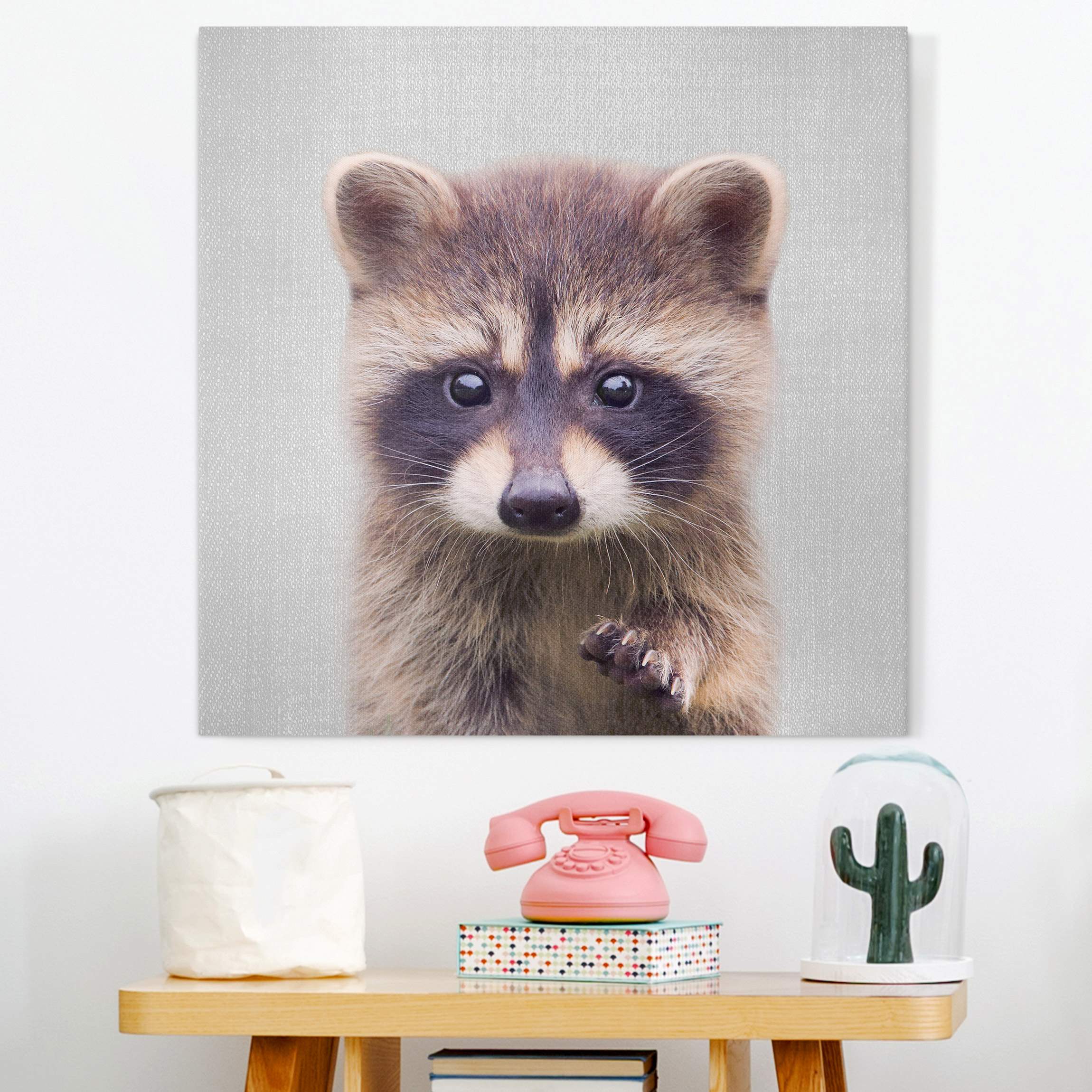 Leinwandbild Baby Waschbär Wicky