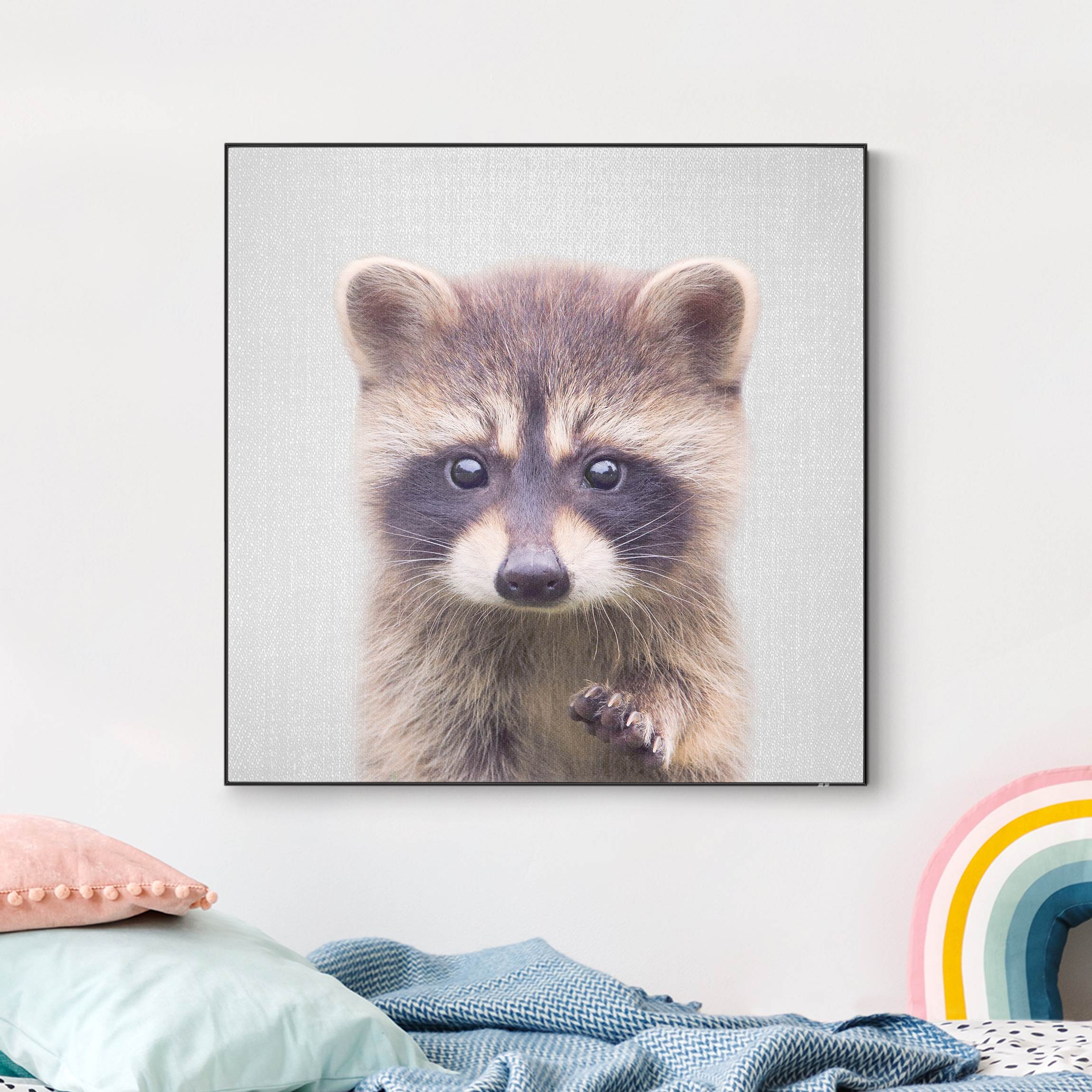 Wechselbild Baby Waschbär Wicky