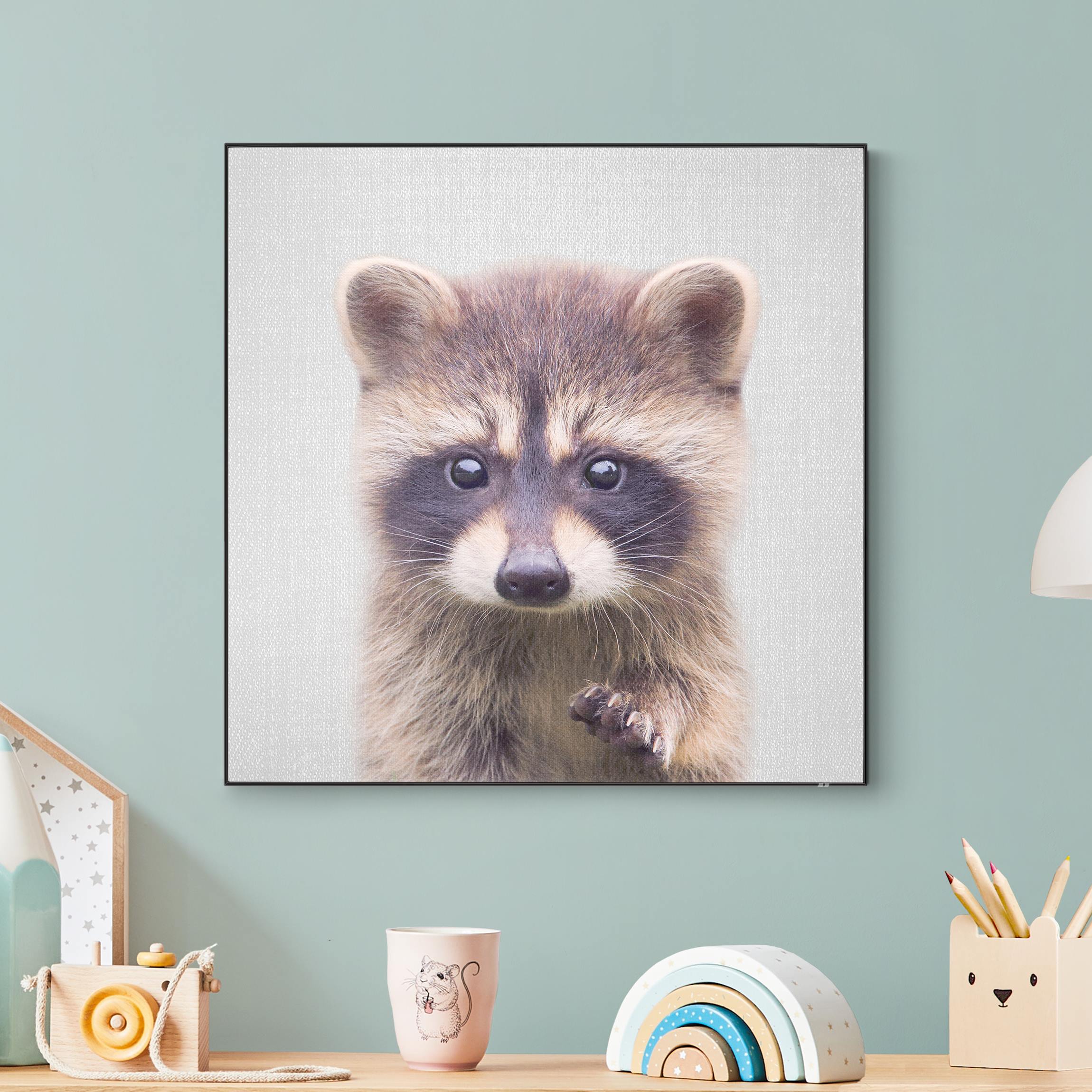 Wechselbild Baby Waschbär Wicky