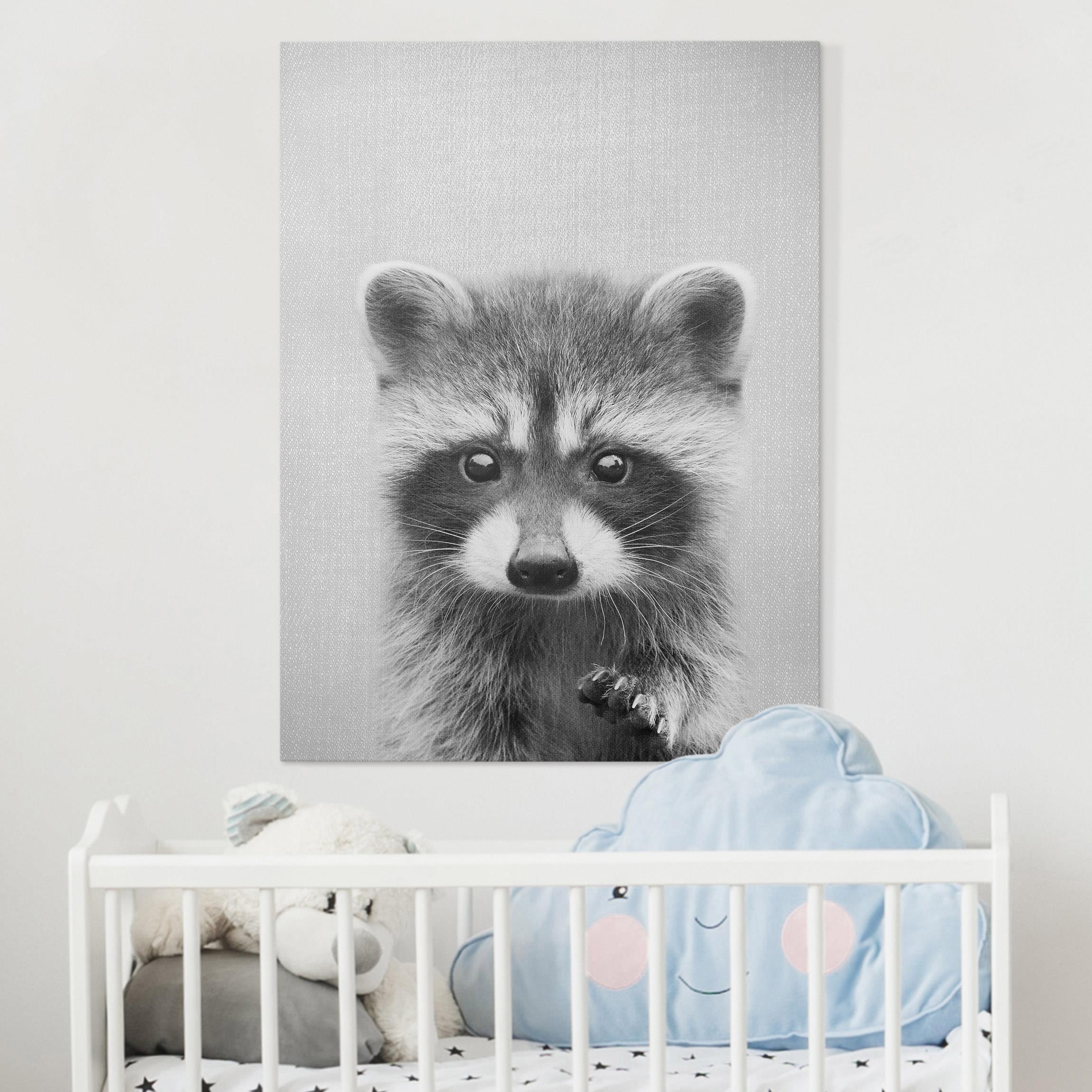 Leinwandbild Baby Waschbär Wicky Schwarz Weiß