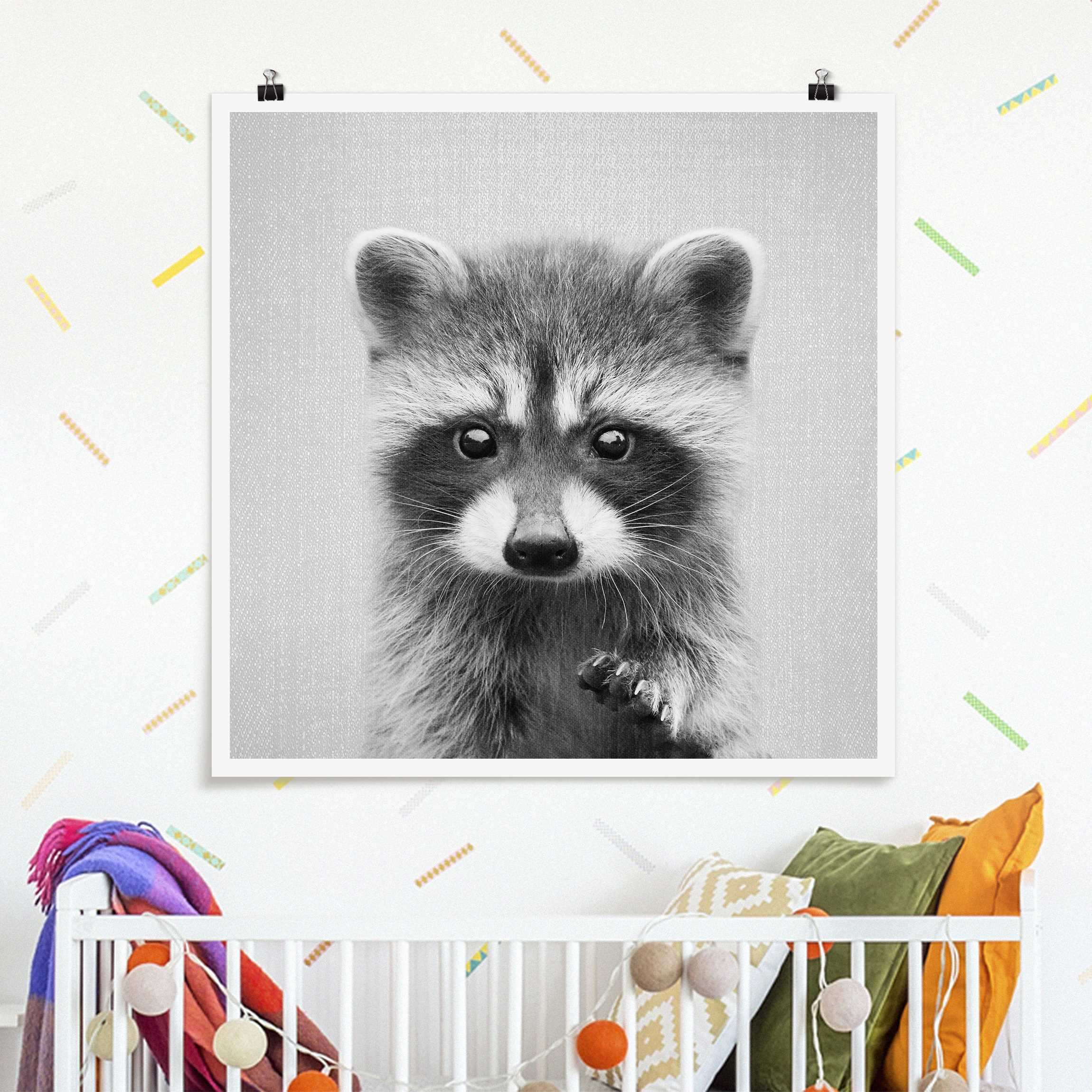 Poster Baby Waschbär Wicky Schwarz Weiß