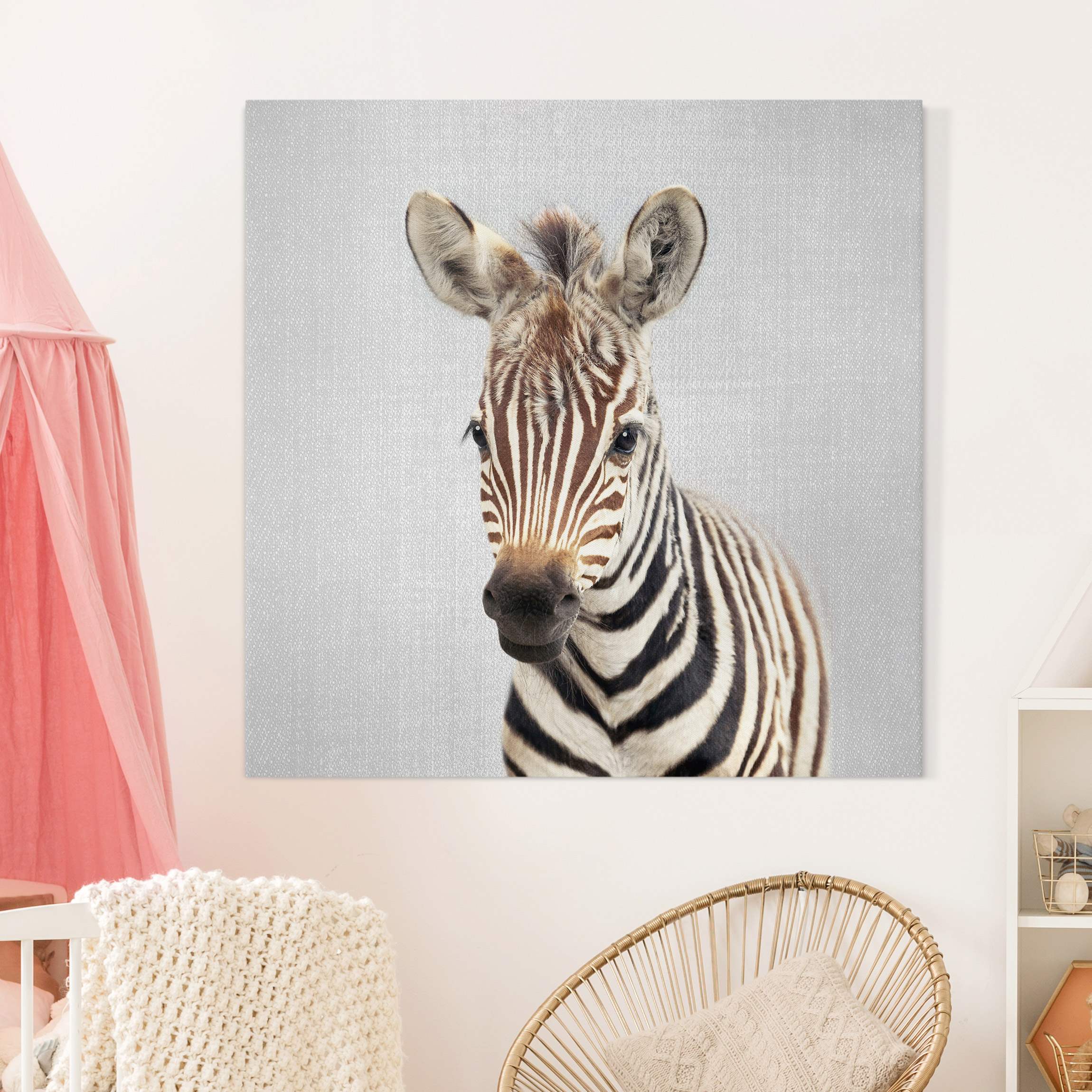 Leinwandbild Baby Zebra Zoey