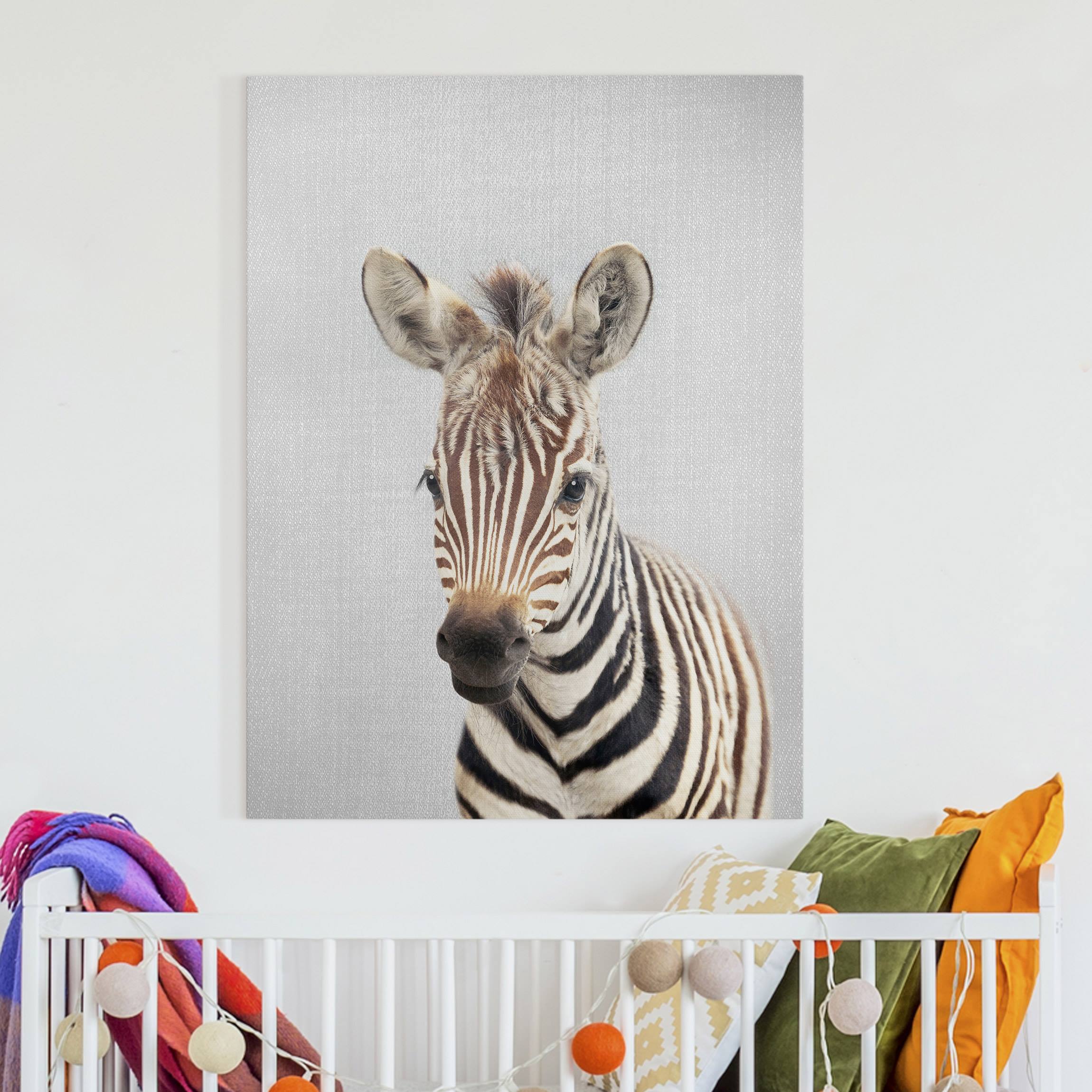 Leinwandbild Baby Zebra Zoey