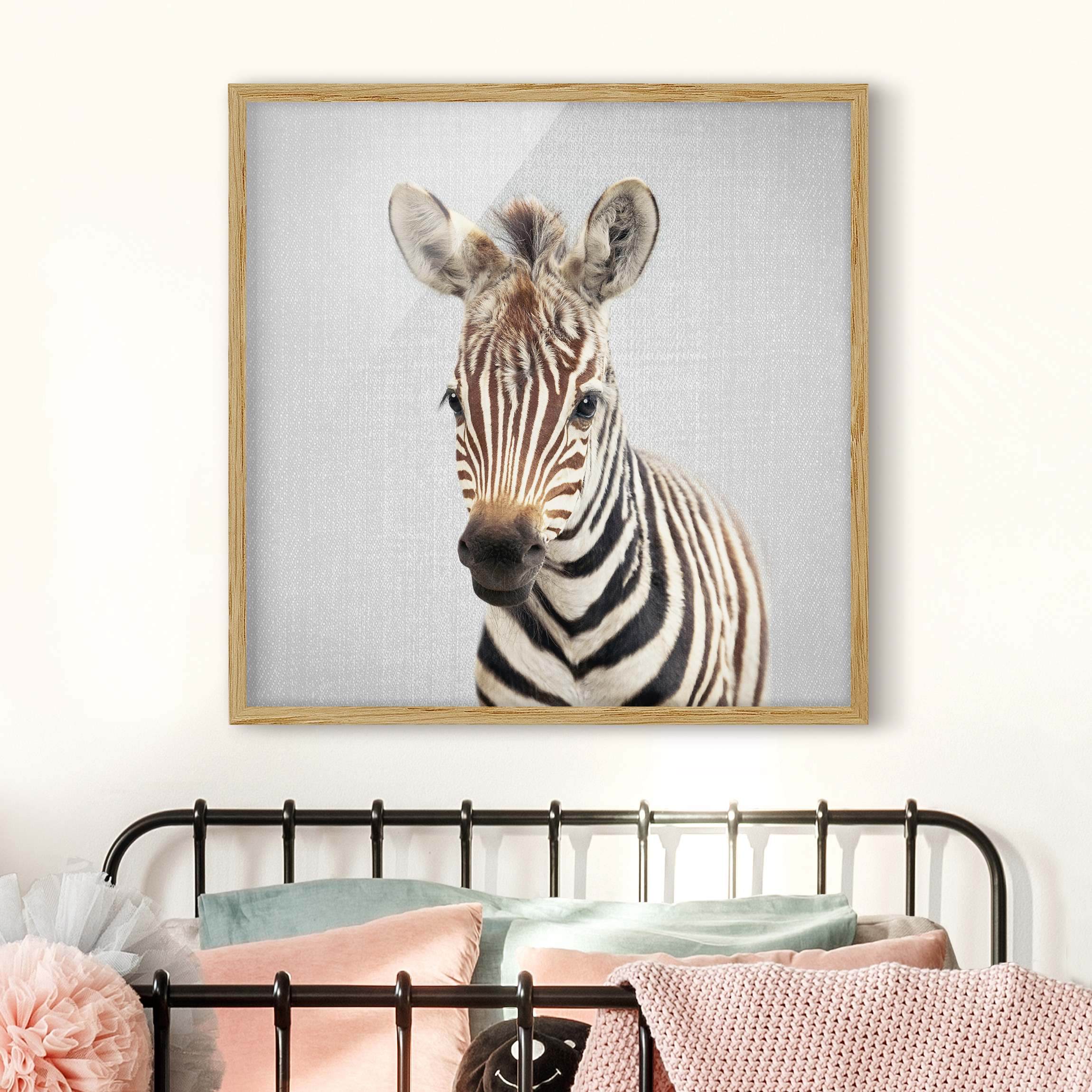 Bild mit Rahmen Baby Zebra Zoey
