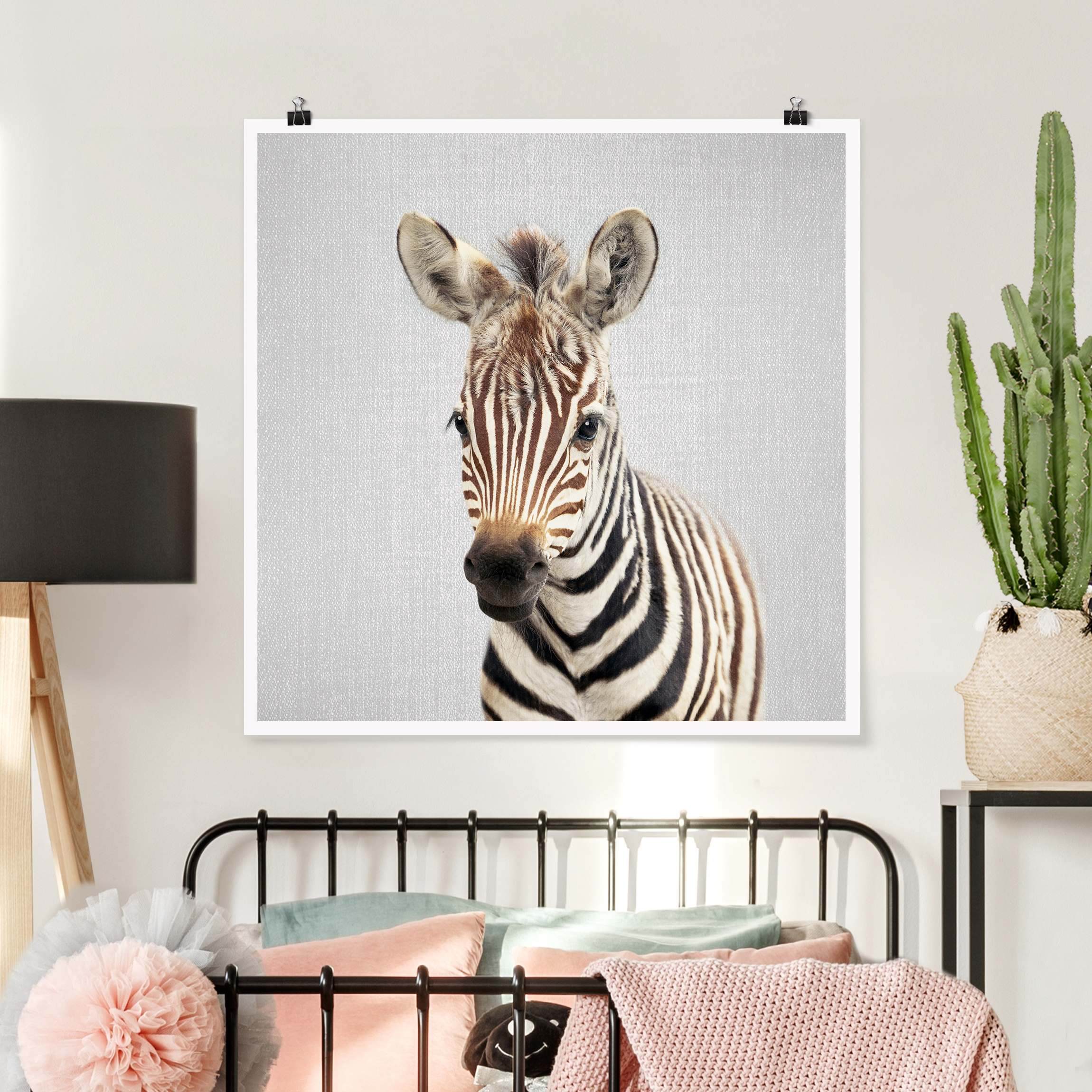 Poster Baby Zebra Zoey