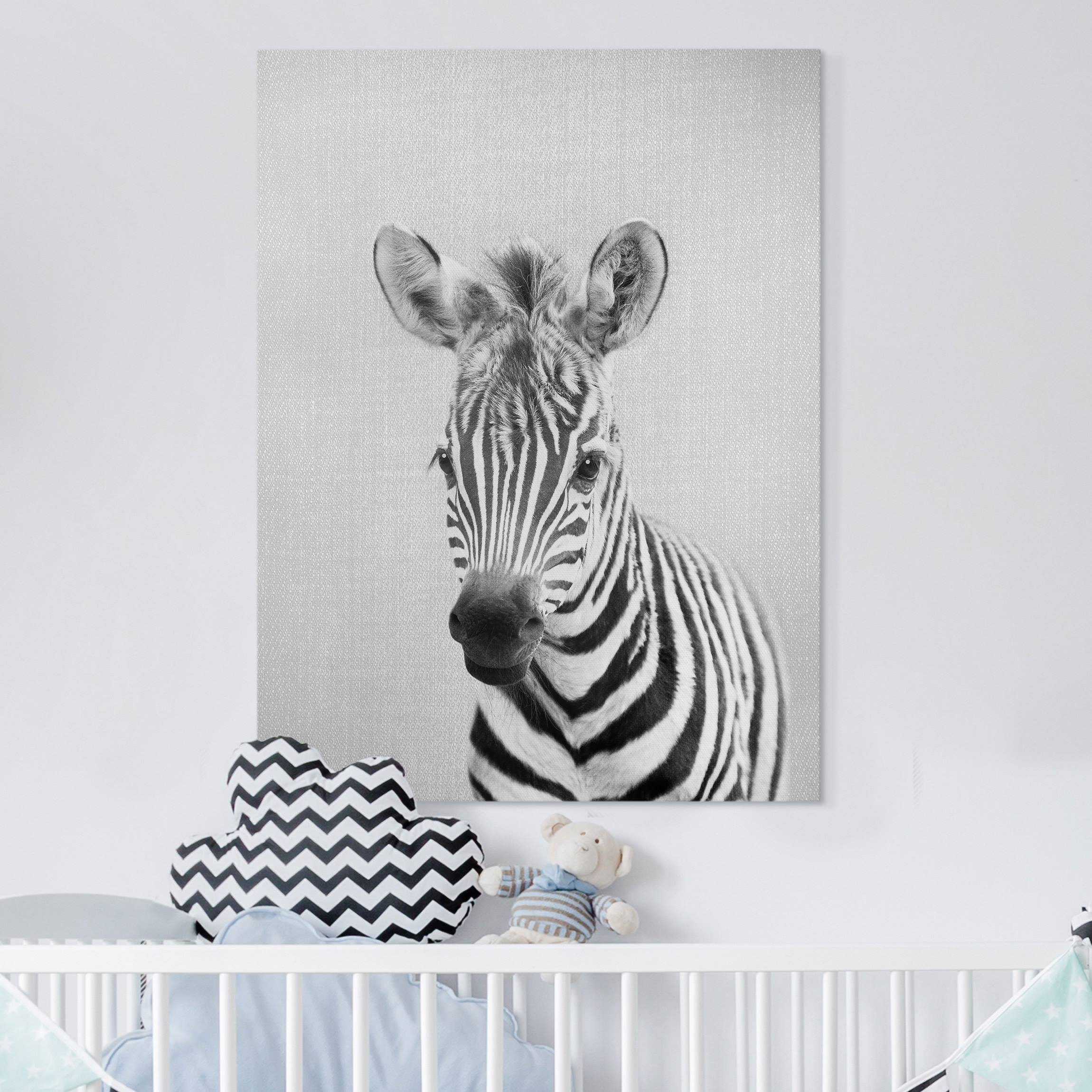 Leinwandbild Baby Zebra Zoey Schwarz Weiß