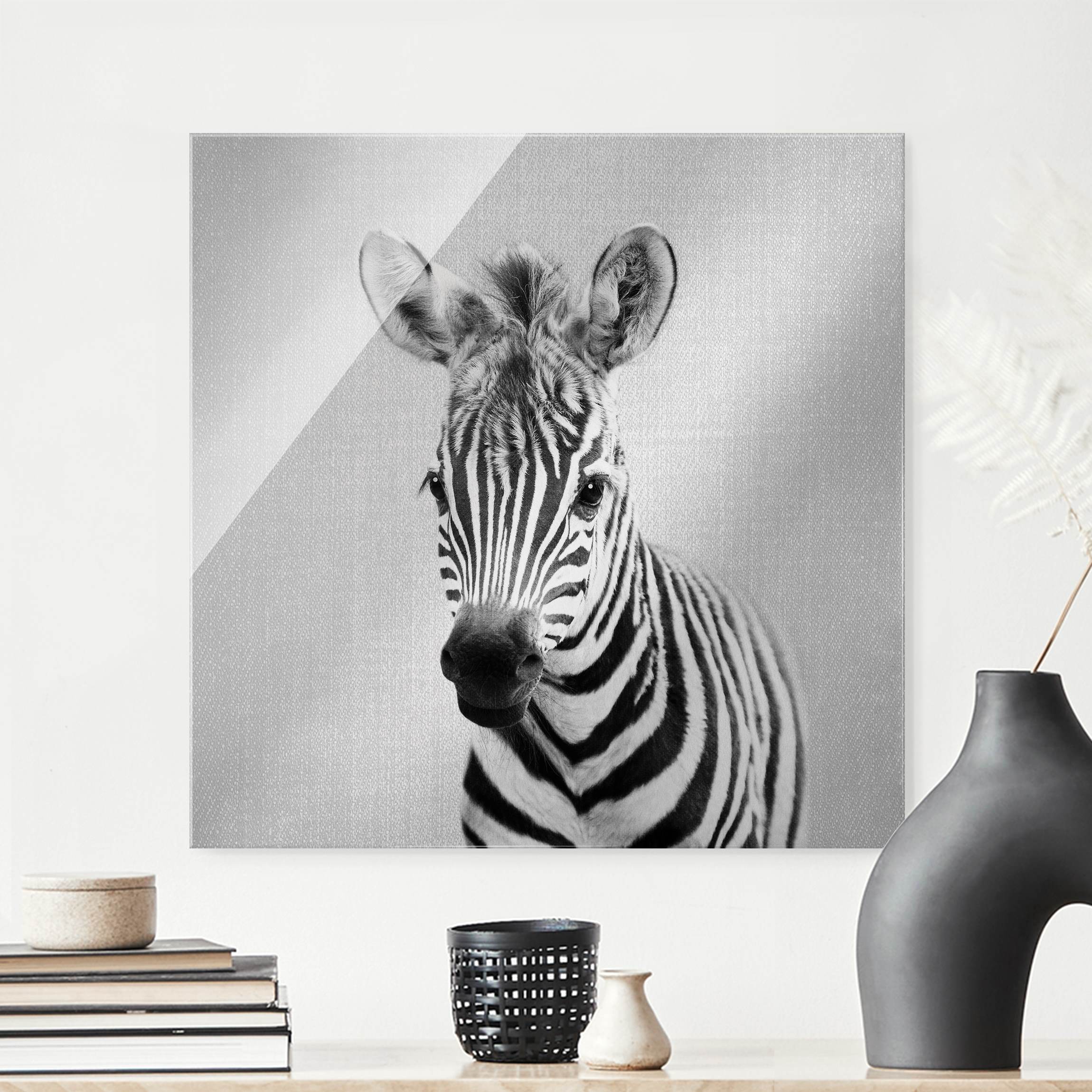 Glasbild Baby Zebra Zoey Schwarz Weiß