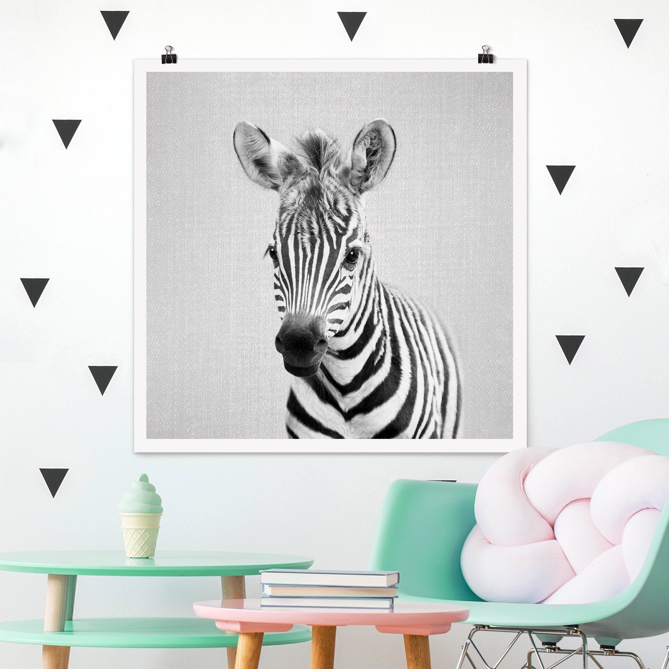 Poster Baby Zebra Zoey Schwarz Weiß