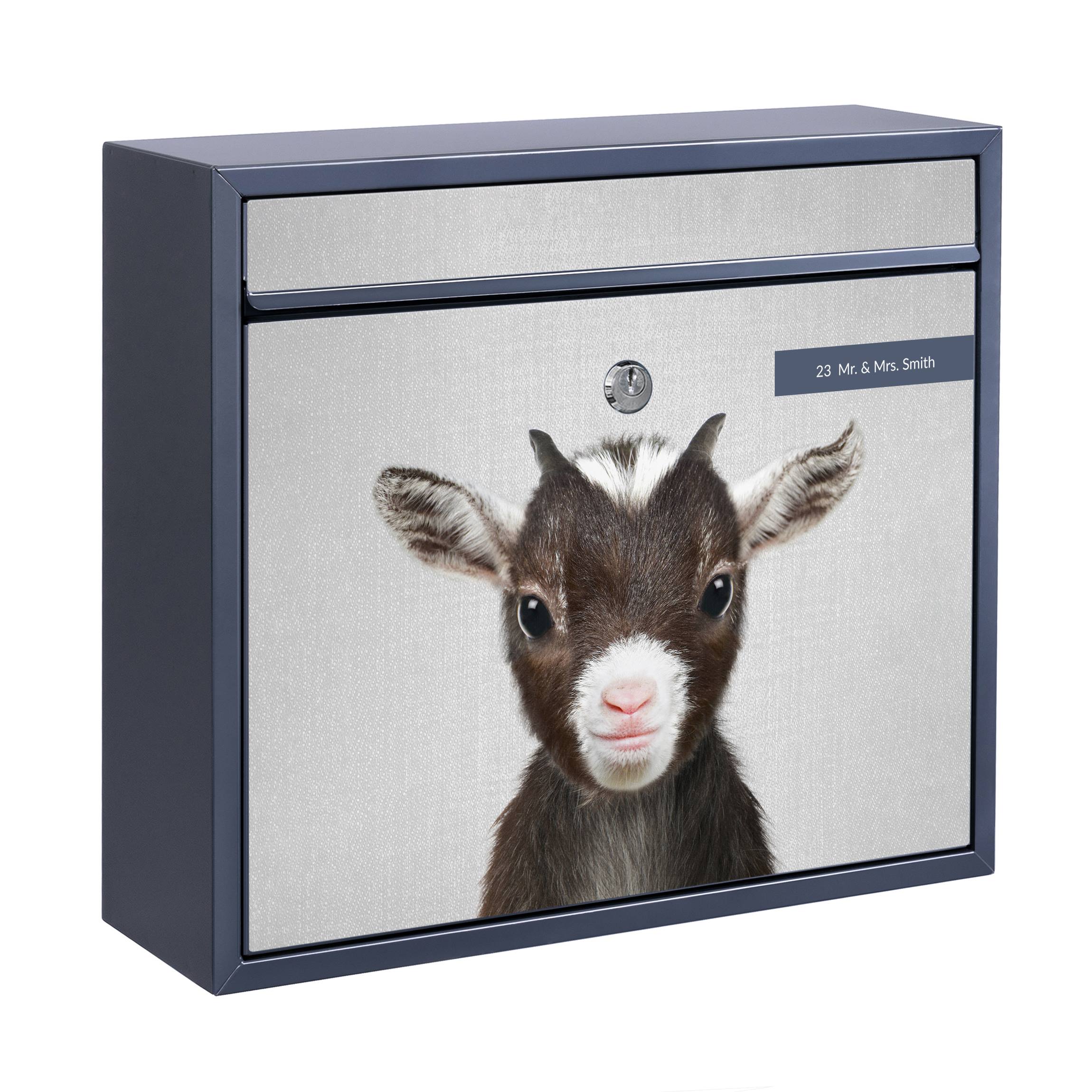 Briefkasten mit eigenem Text Baby Ziege Zelda