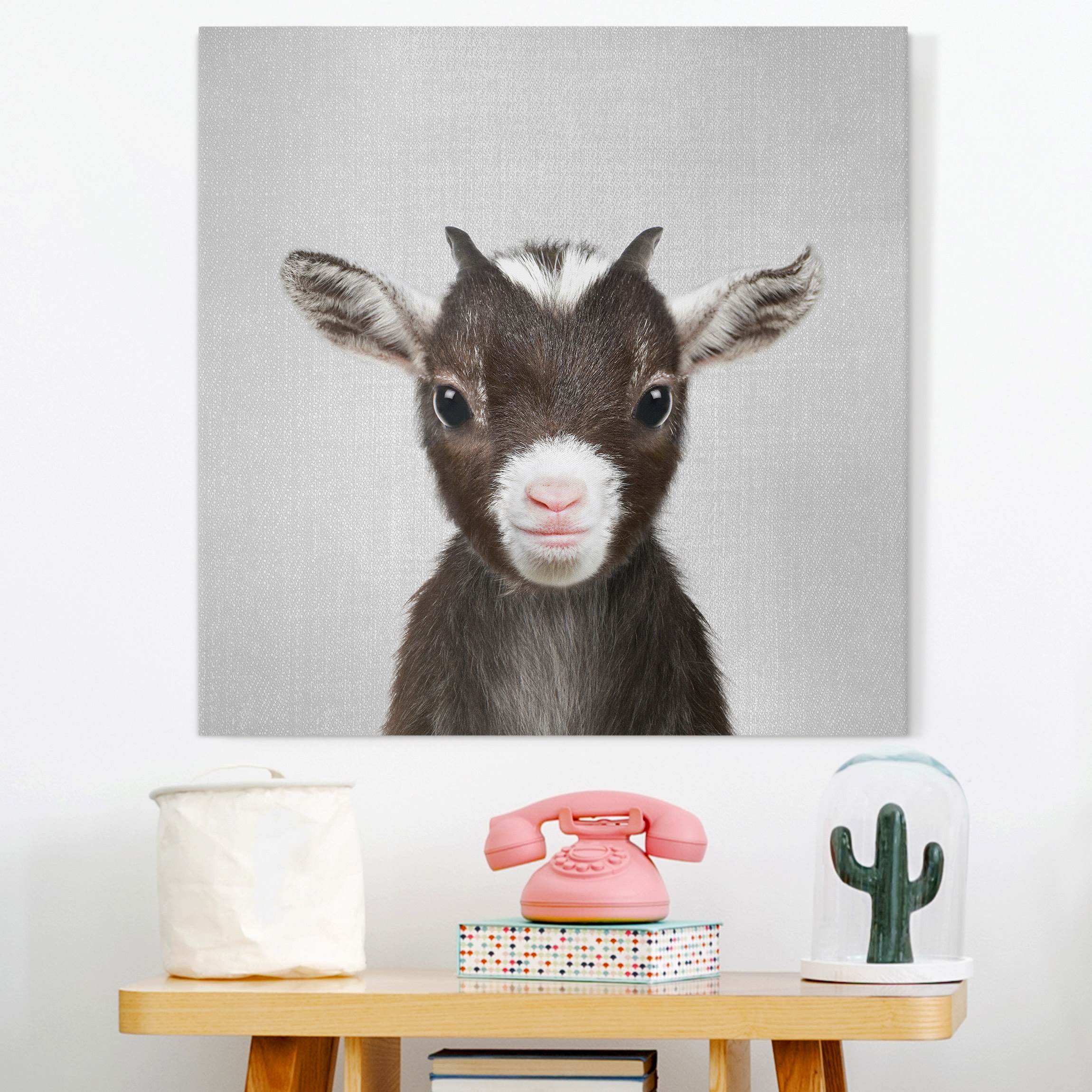 Leinwandbild Baby Ziege Zelda