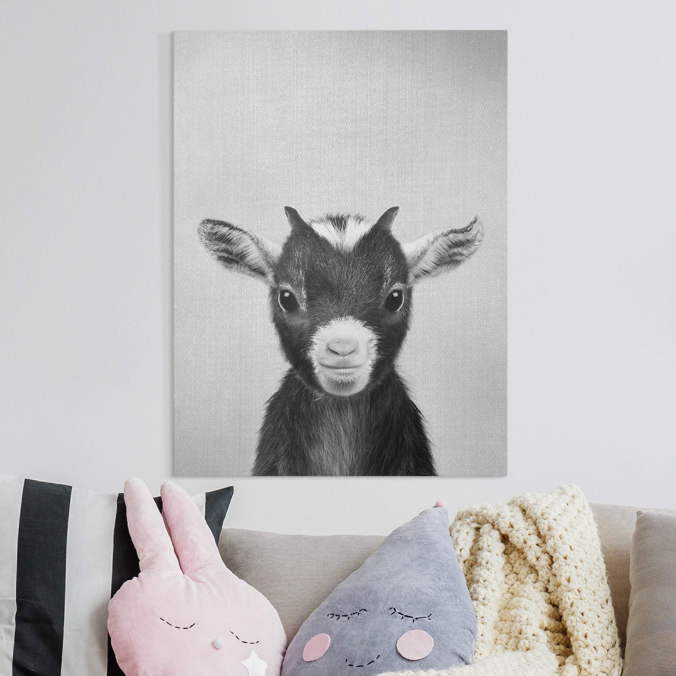 Leinwandbild Baby Ziege Zelda Schwarz Weiß