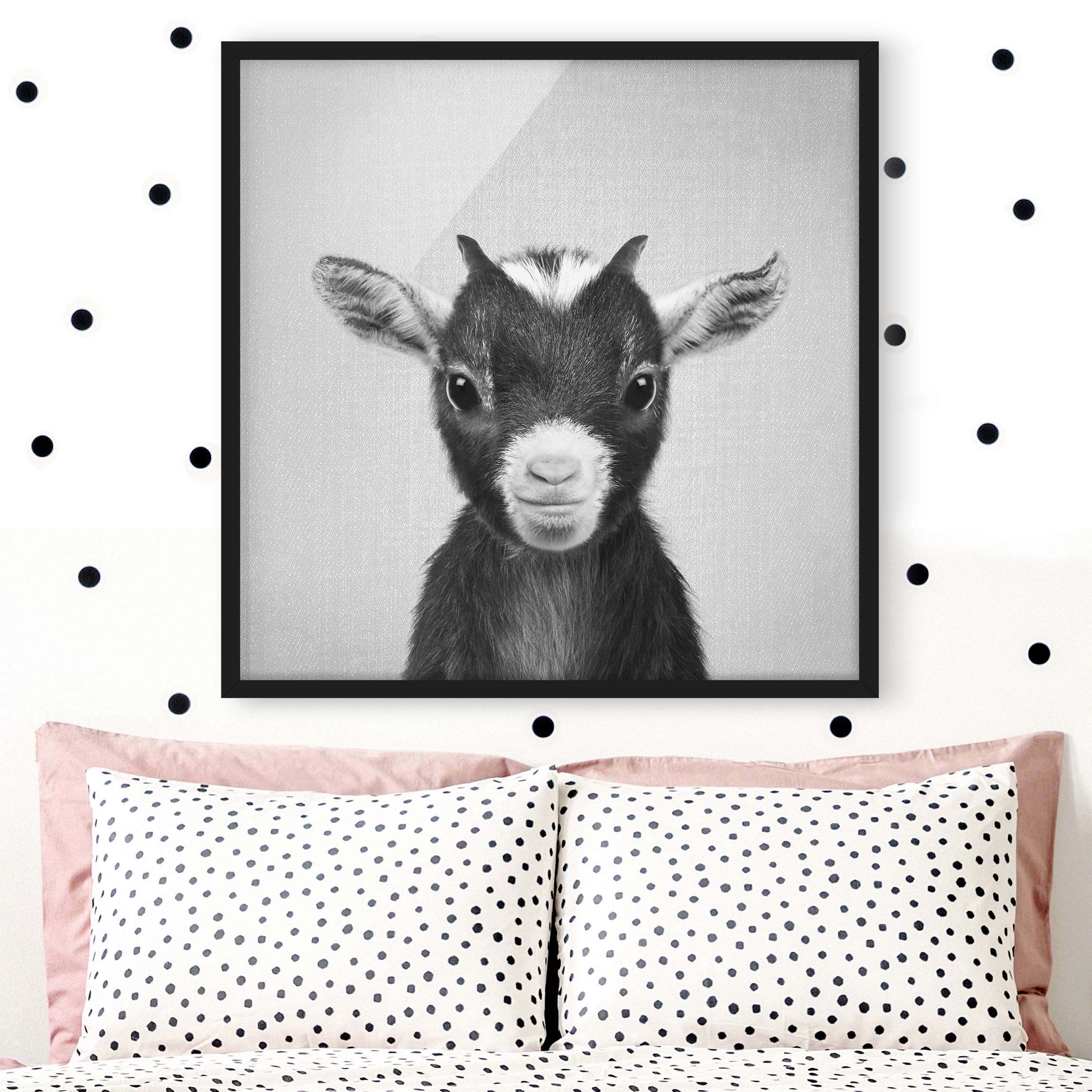 Bild mit Rahmen Baby Ziege Zelda Schwarz Weiß