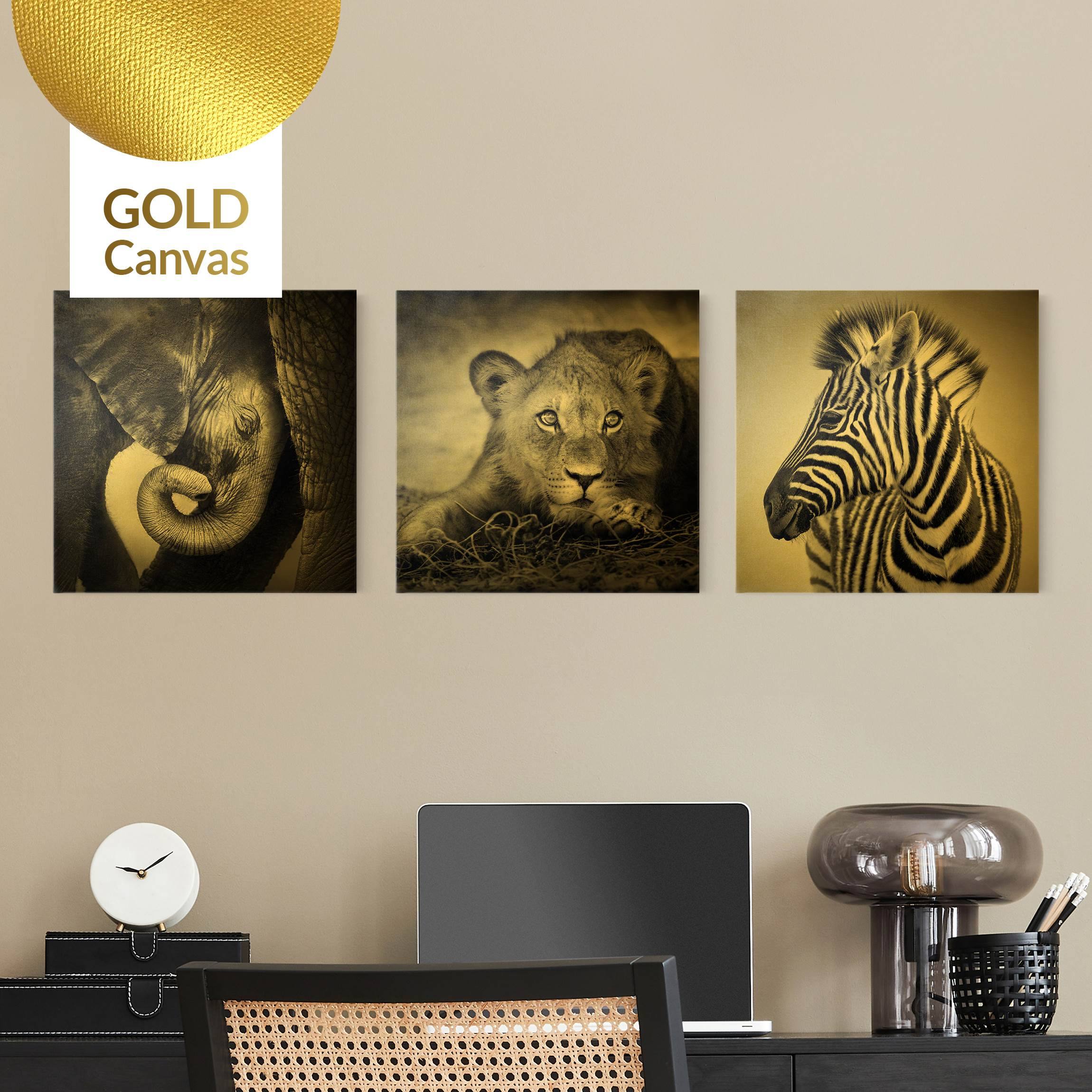 3-teiliges Leinwandbild Tiere Babytiere