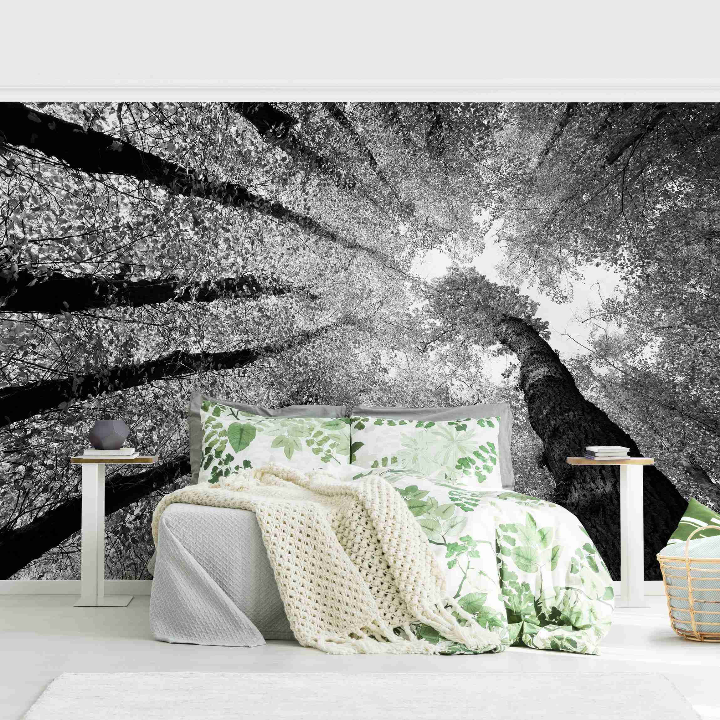 Fototapete Bäume des Lebens II