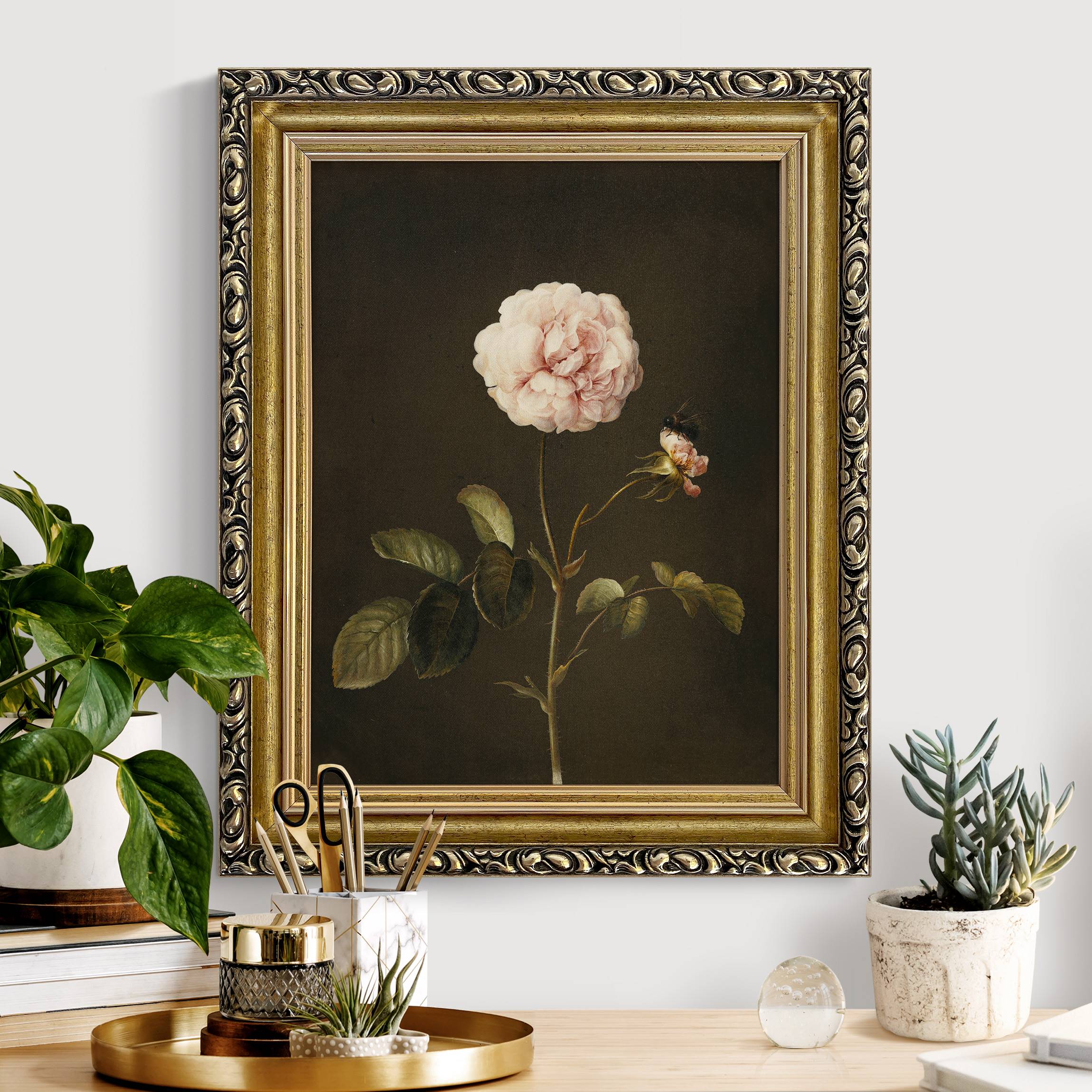 Leinwandbild mit Barockrahmen Barbara Regina Dietzsch - Essig-Rose mit Hummel