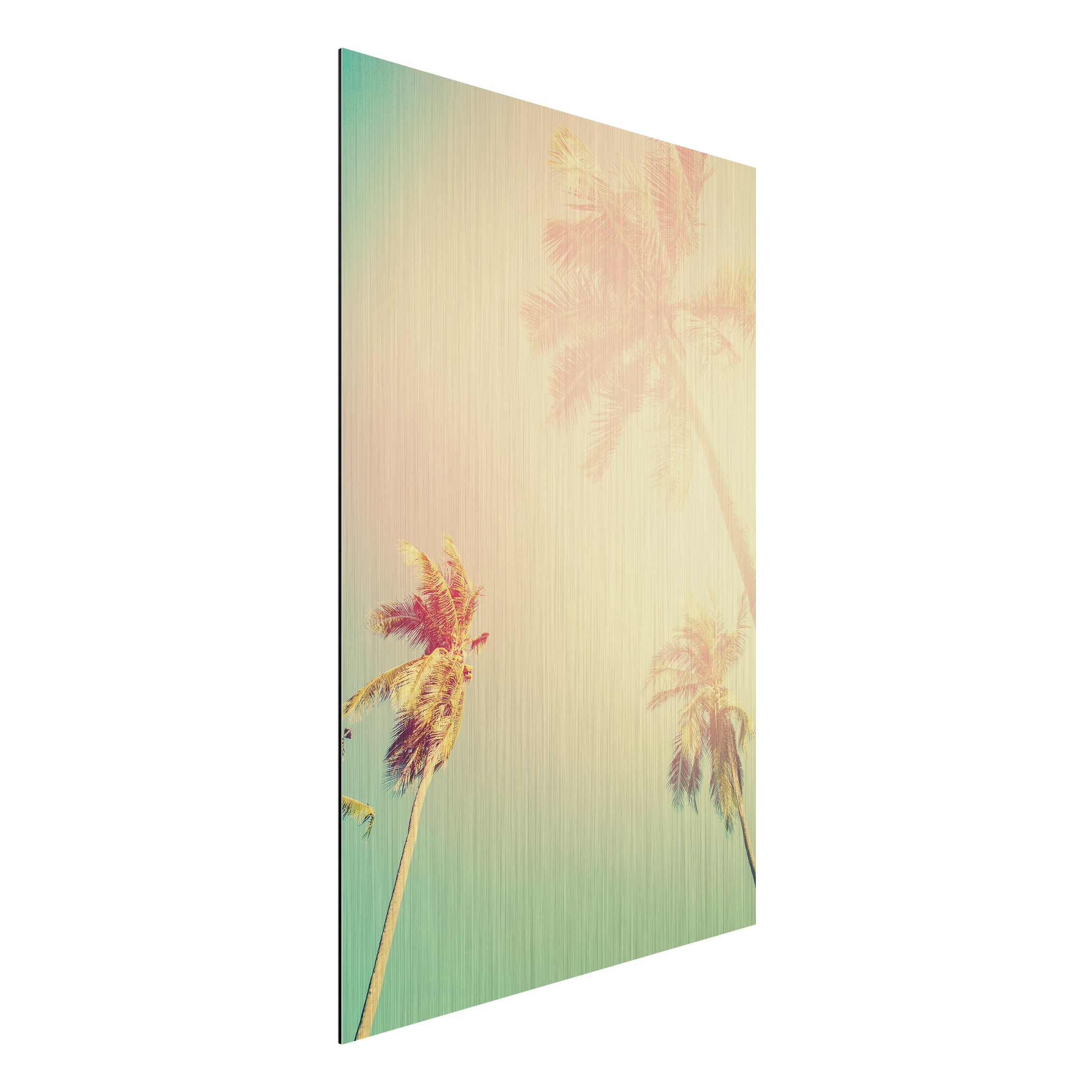 Alu-Dibond Bild Tropische Pflanzen Palmen bei Sonnenuntergang III