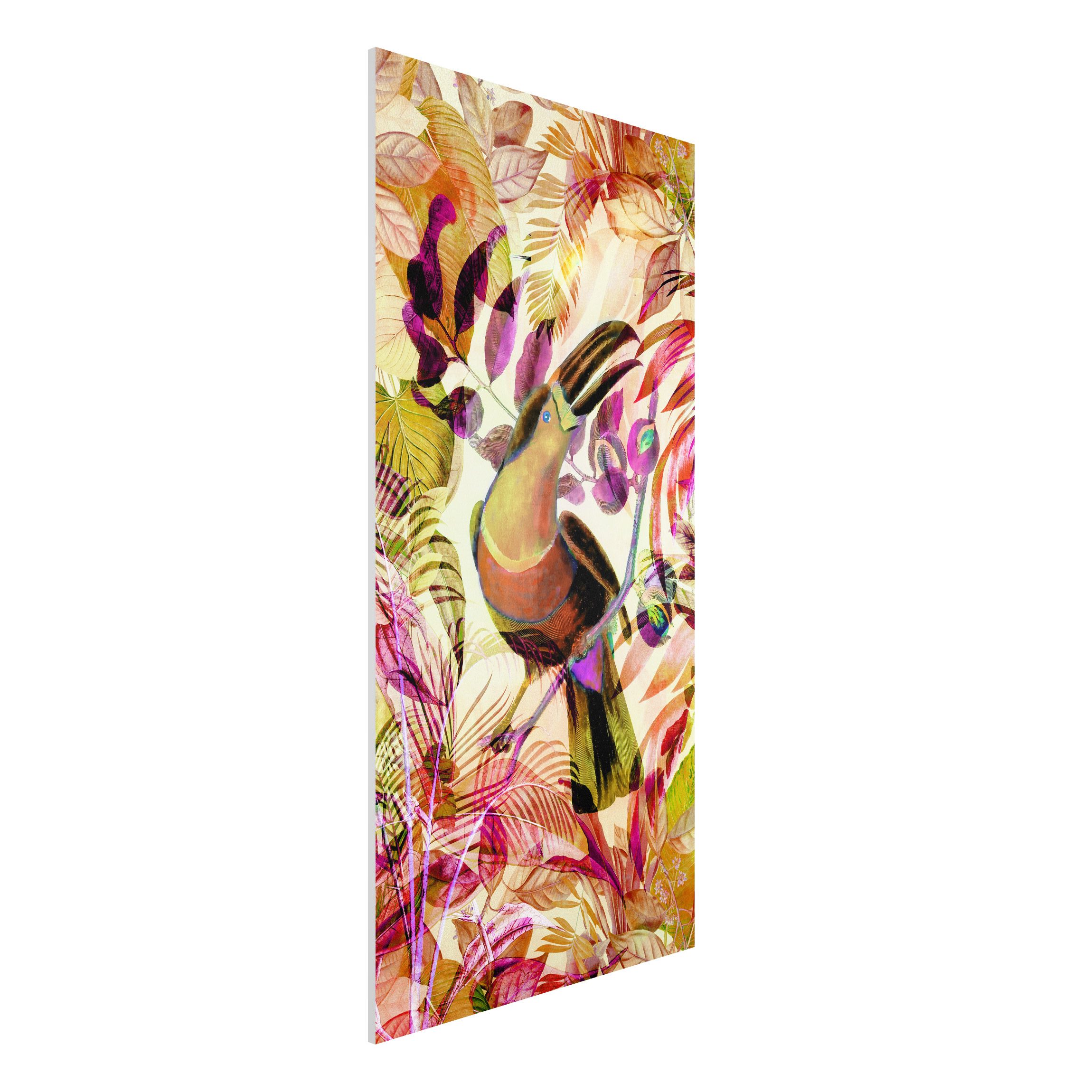 Forexbild Bunte Collage - Tukan