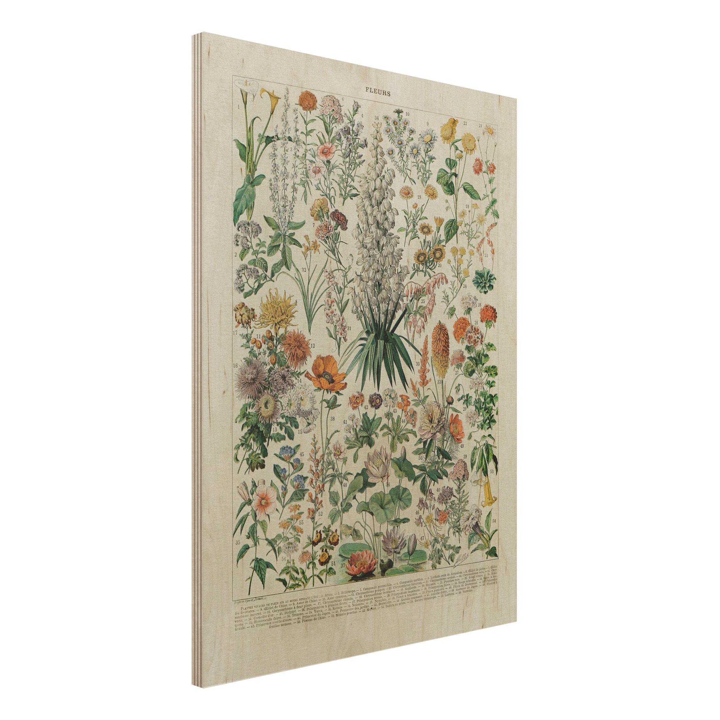 Holzbild - Hochformat 3:4 Vintage Lehrtafel Blumen I