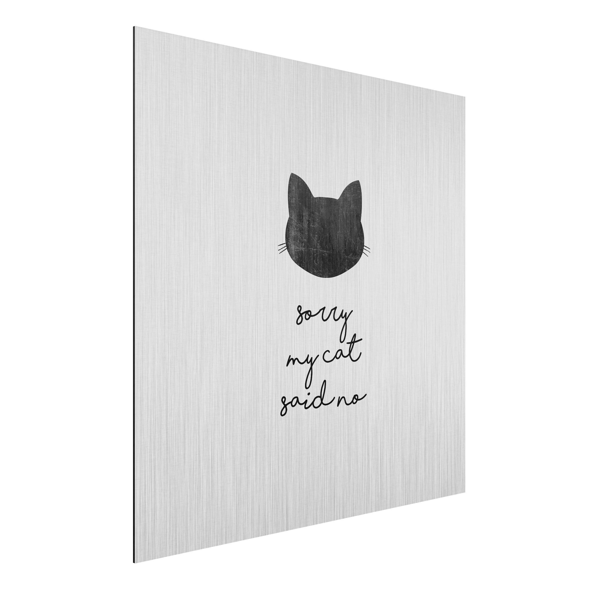 Alu-Dibond Bild Haustier Zitat Sorry My Cat Said No