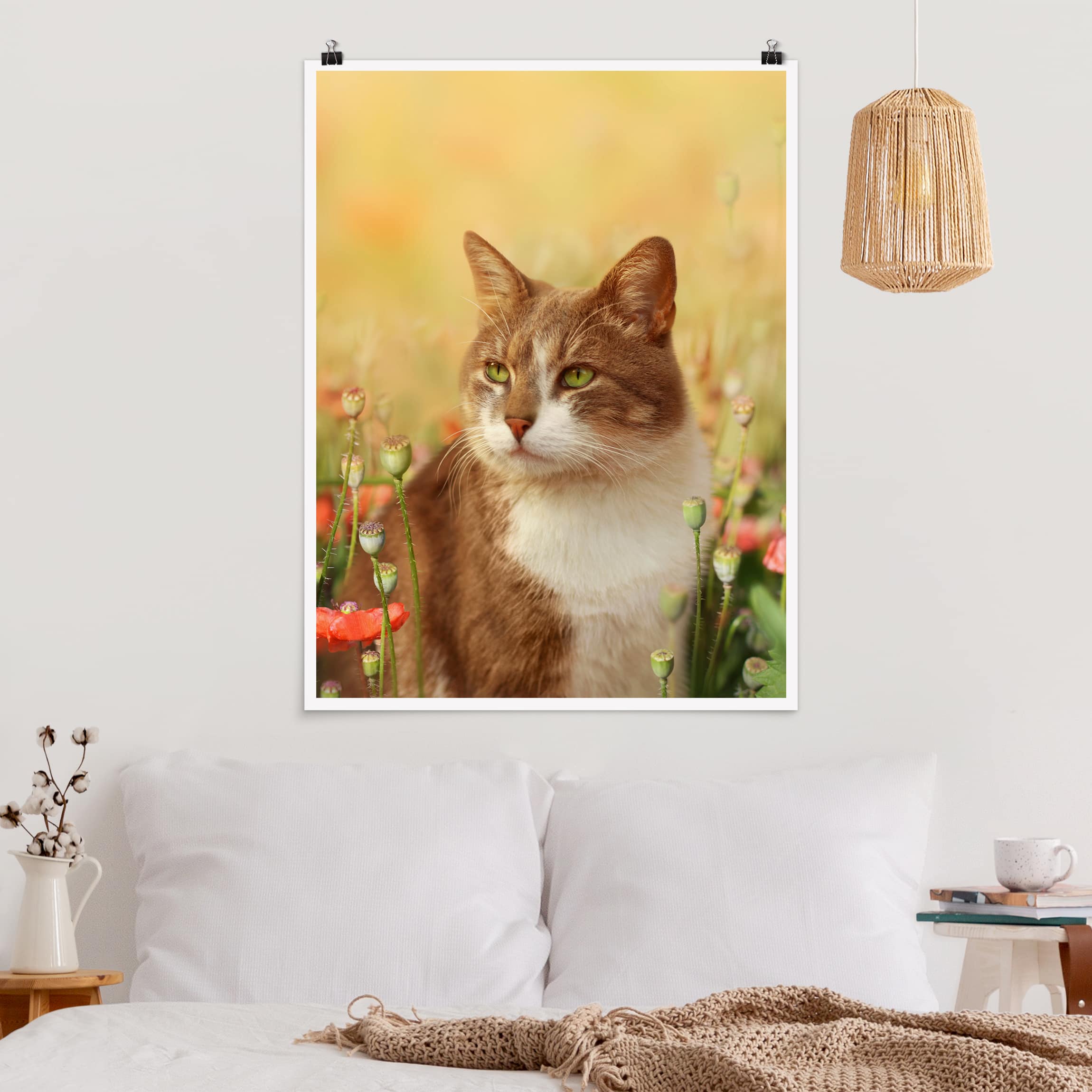 Poster Tiere Katze im Mohnfeld