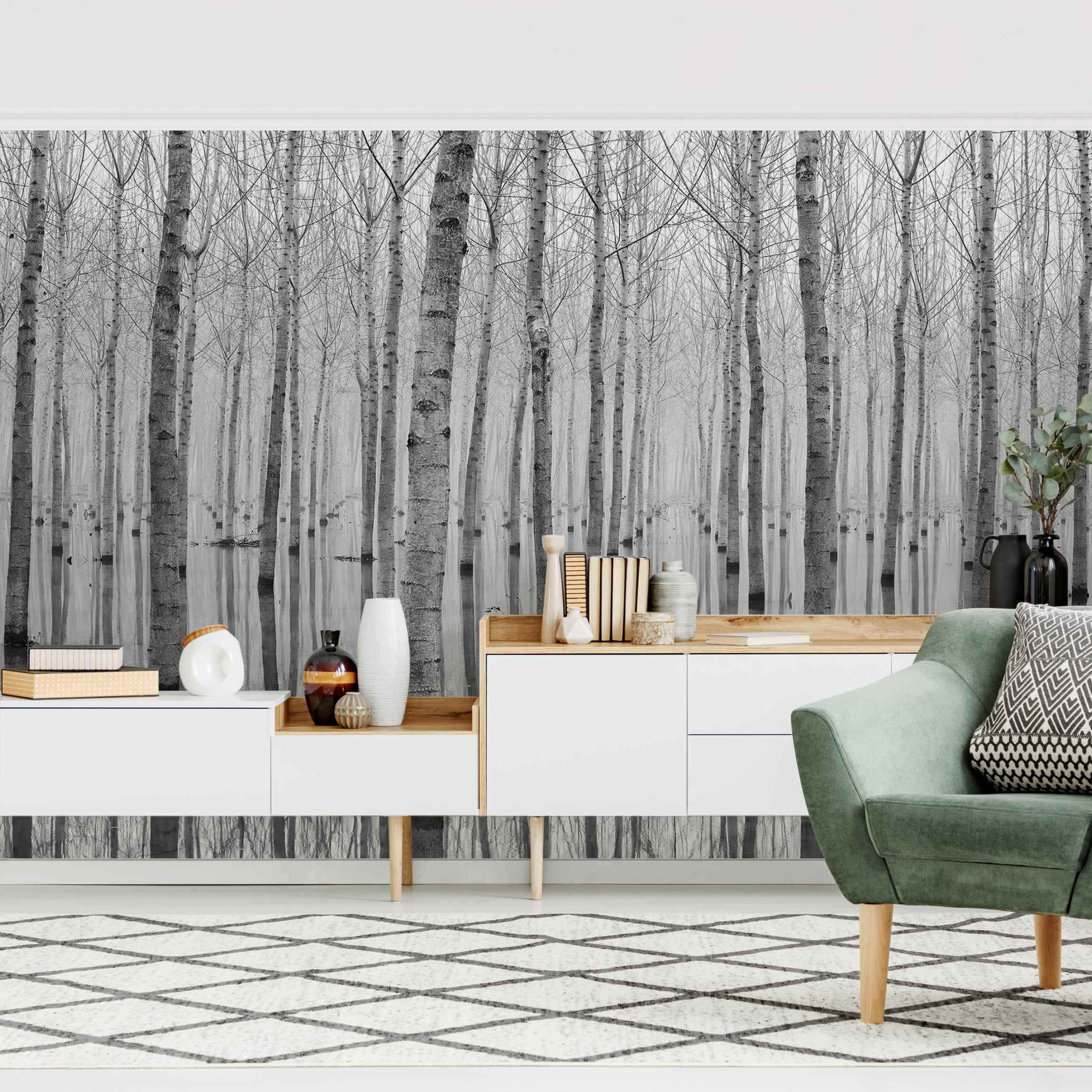 Fototapete Birken im November