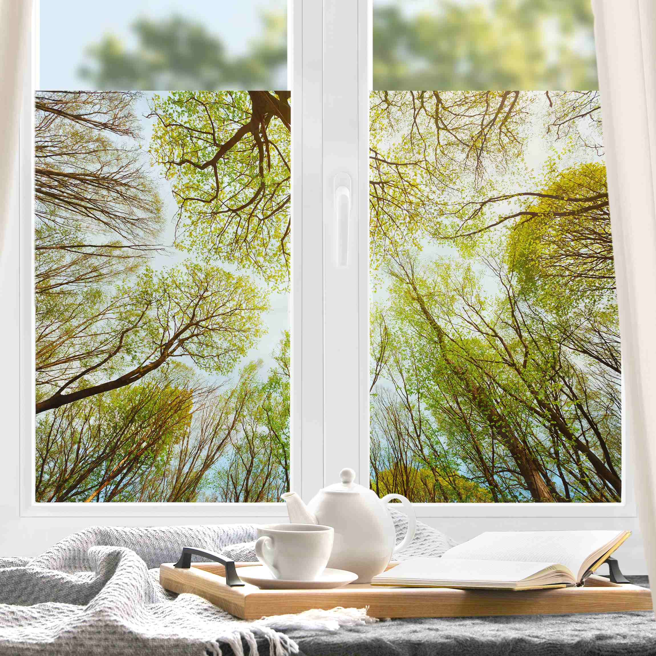 Fensterfolie Blick in Baumkronen