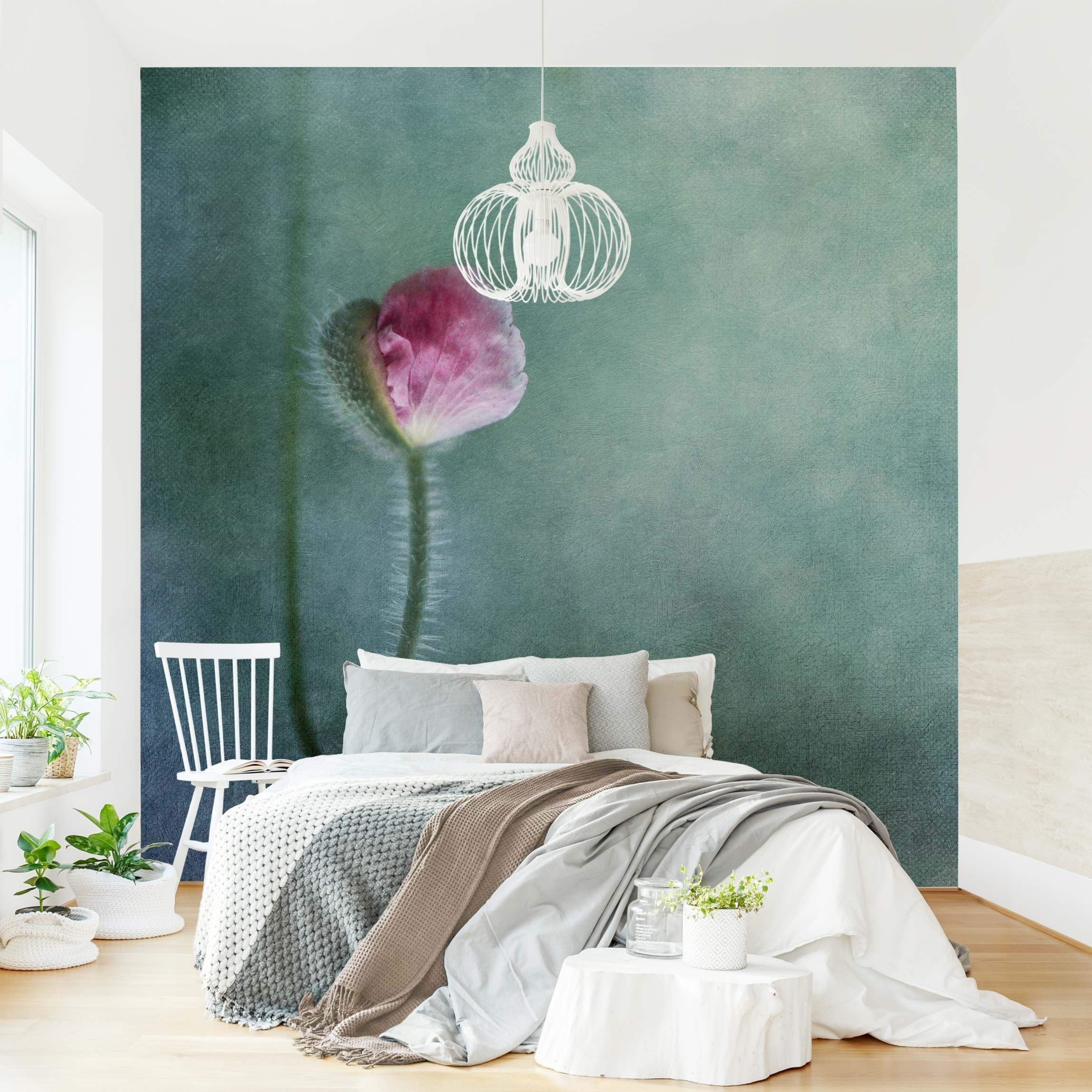 Fototapete Blüte in Rosa