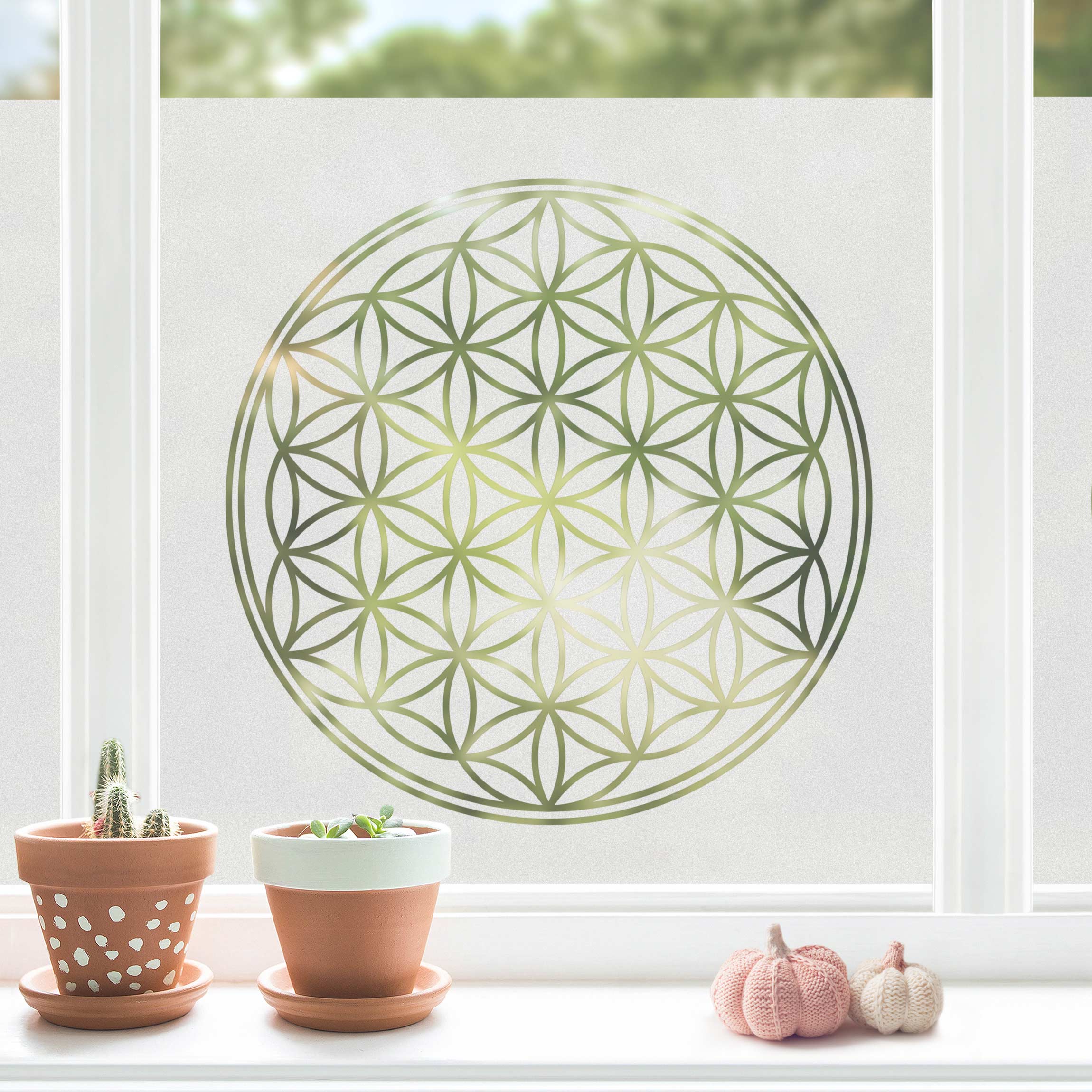 Fensterfolie Sichtschutz Blume des Lebens II