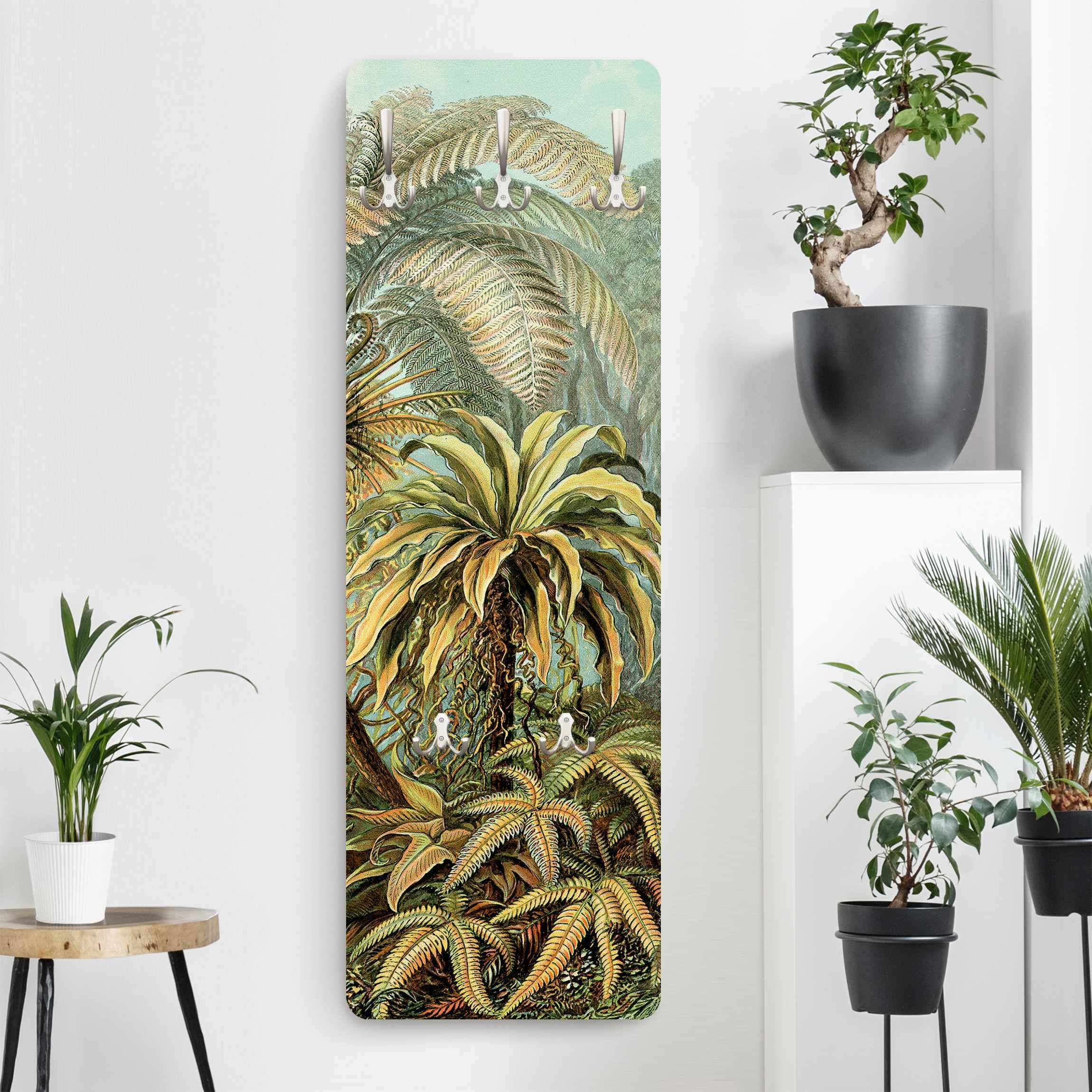 Wandgarderobe Botanik Vintage Illustration Laubfarne