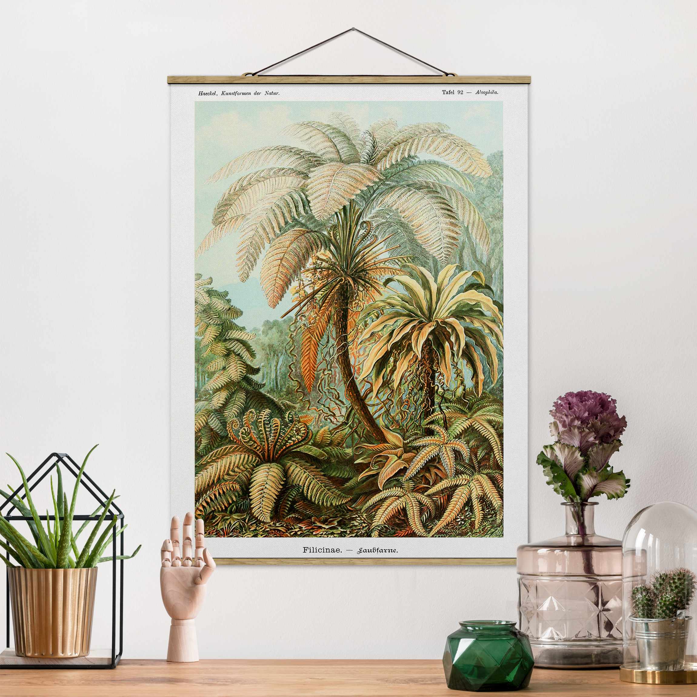 Stoffbild mit Posterleisten Botanik Vintage Illustration Laubfarne