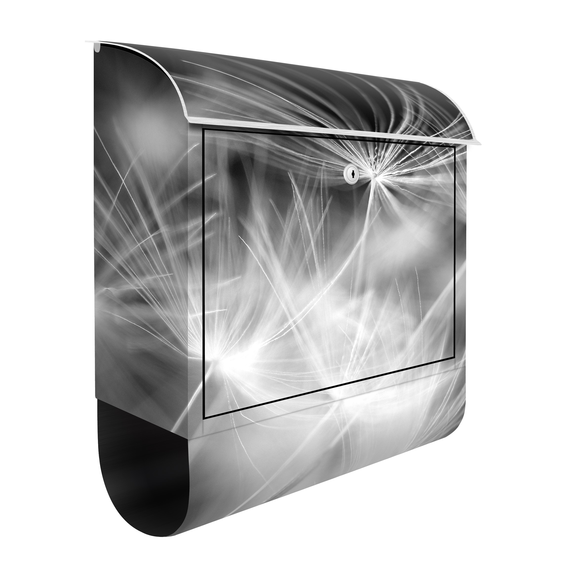 Briefkasten Bewegte Pusteblumen Nahaufnahme auf schwarzem Hintergrund