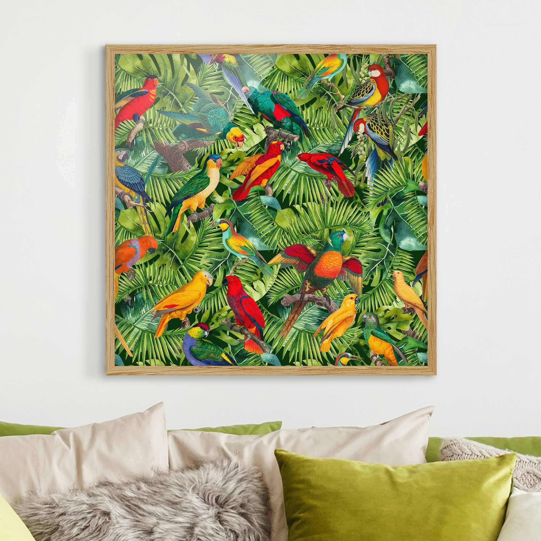 Bild mit Rahmen Bunte Collage - Papageien im Dschungel